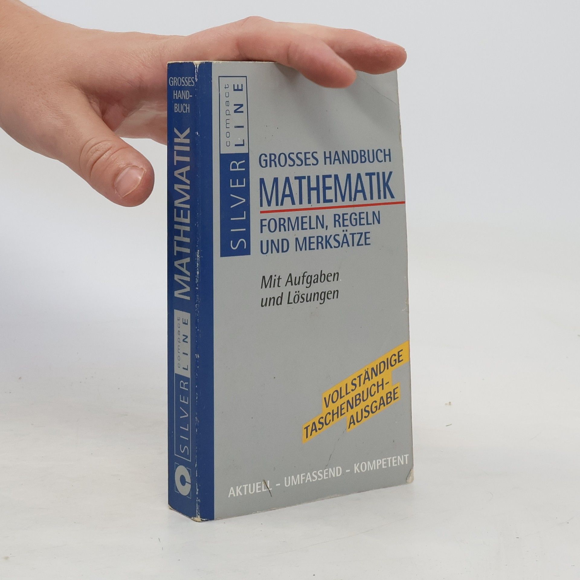 Manfred Hoffmann Grosses Handbuch Mathematik