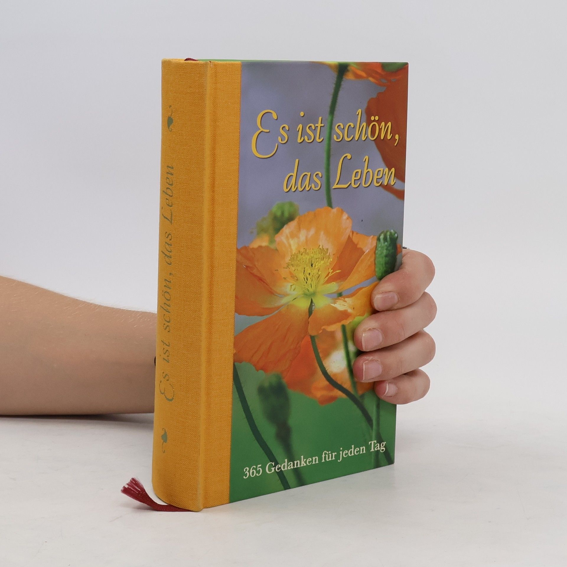 Autorenkollektiv Es ist schön, das Leben