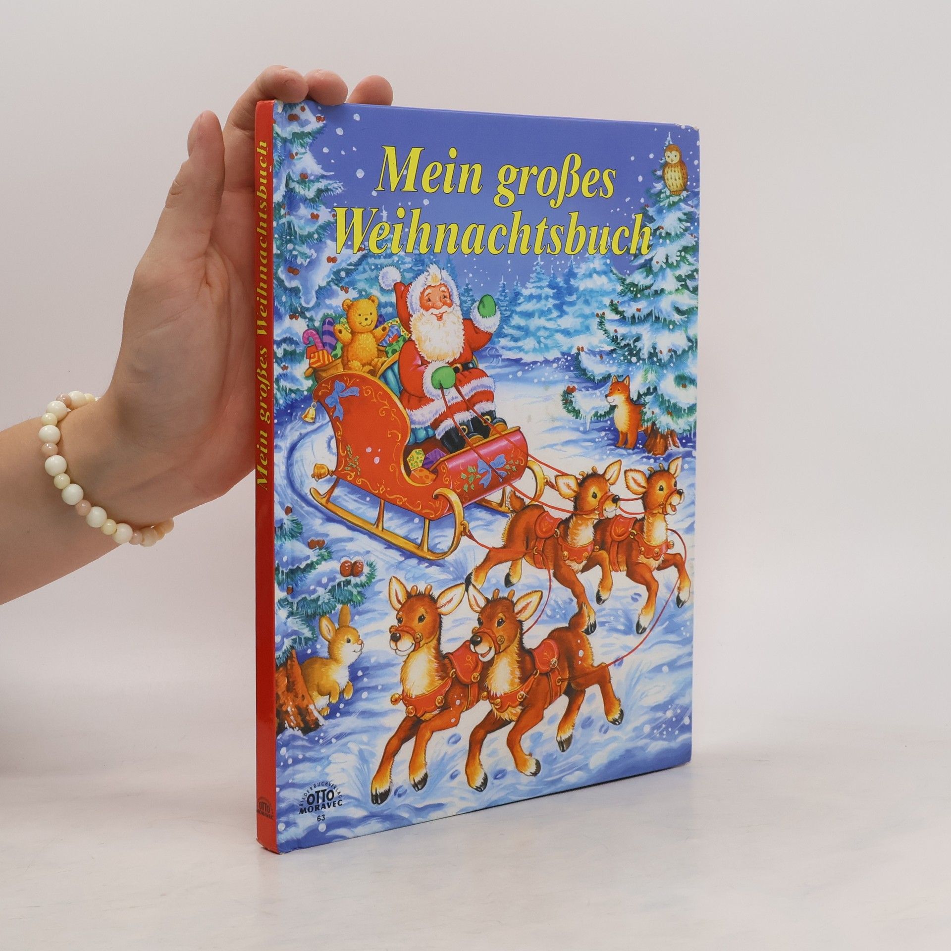 Autorenkollektiv Mein großes Weihnachtsbuch