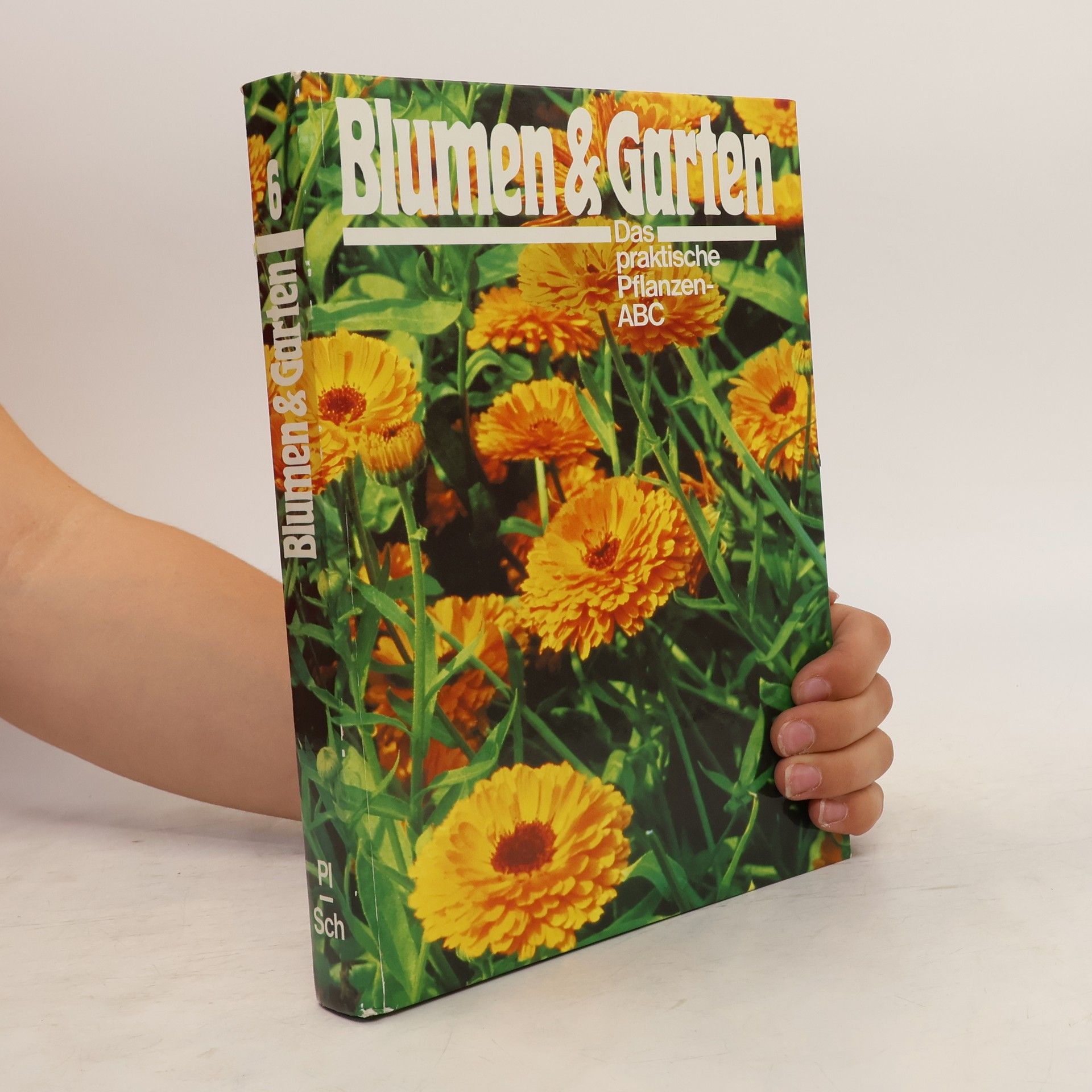 Collectif d'auteurs Blumen & Garten 6