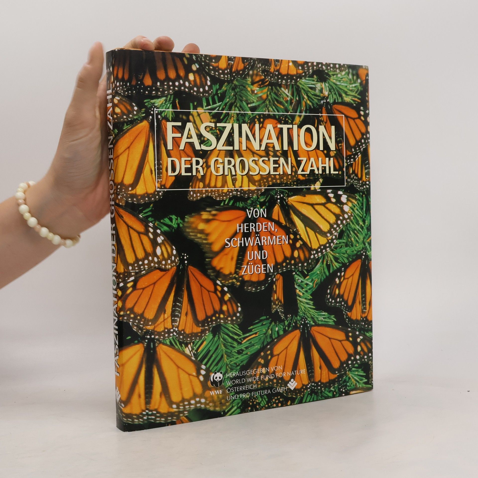 Kolektív autorov Fasczination der grossens zahl