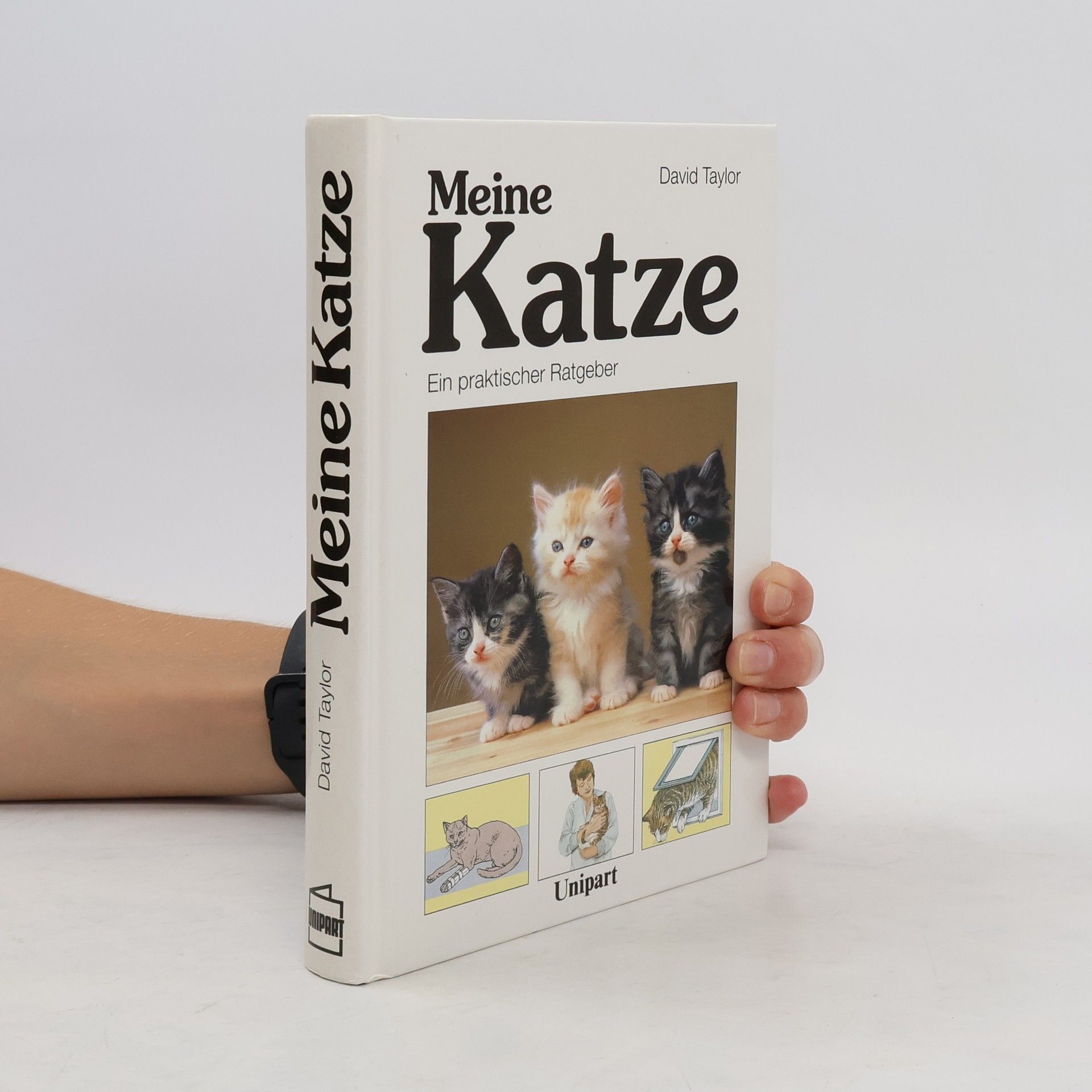 David Taylor Meine Katze