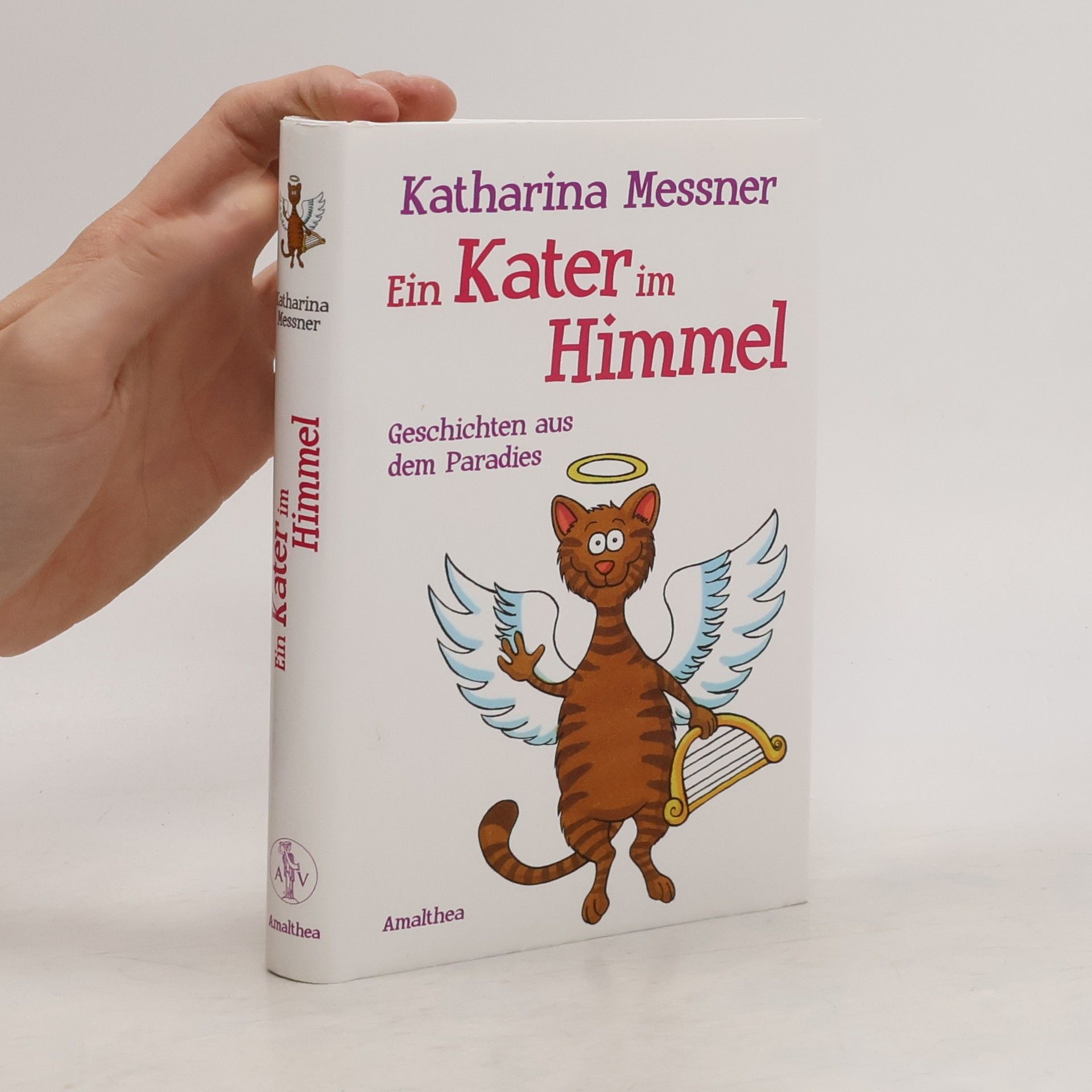 Katharina Messner Ein Kater im Himmel