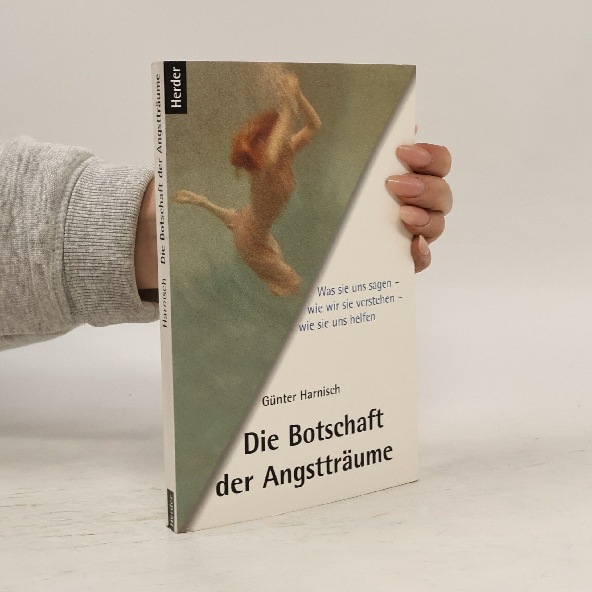 Günter Harnisch Die Botschaft der Angstträume