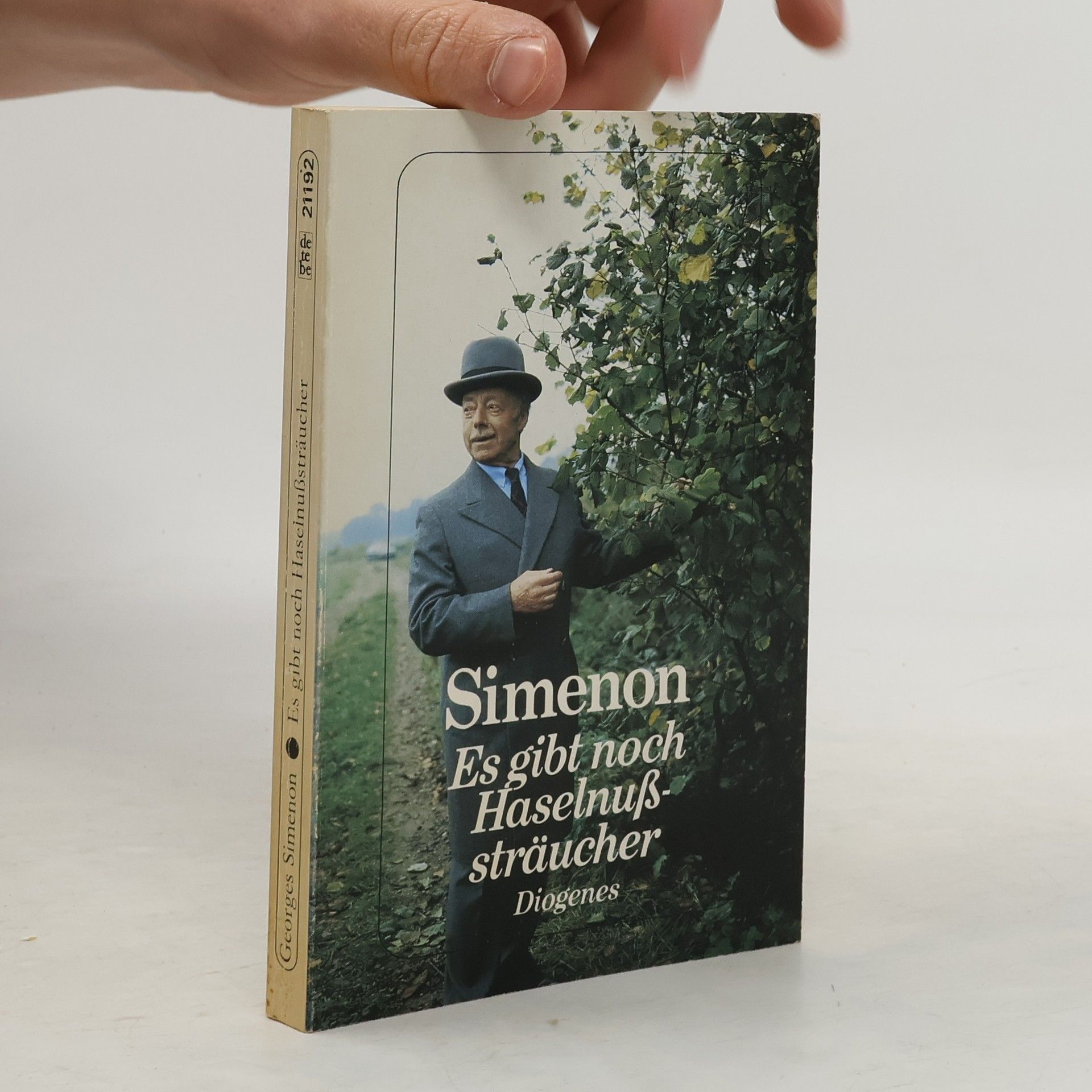 Georges Simenon Es gibt noch Haselnußsträucher. Roman