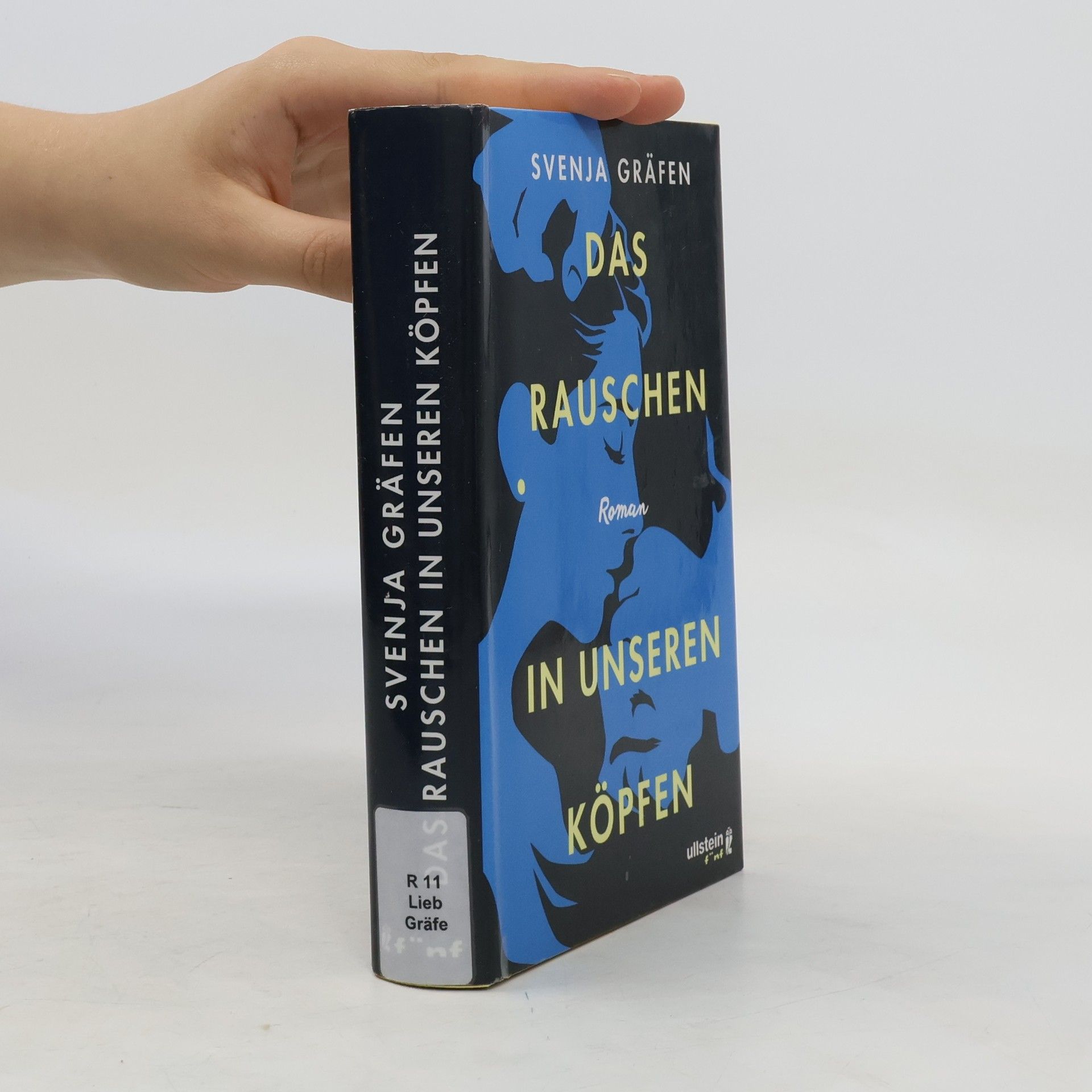 Svenja Gräfen Das Rauschen in unseren Köpfen