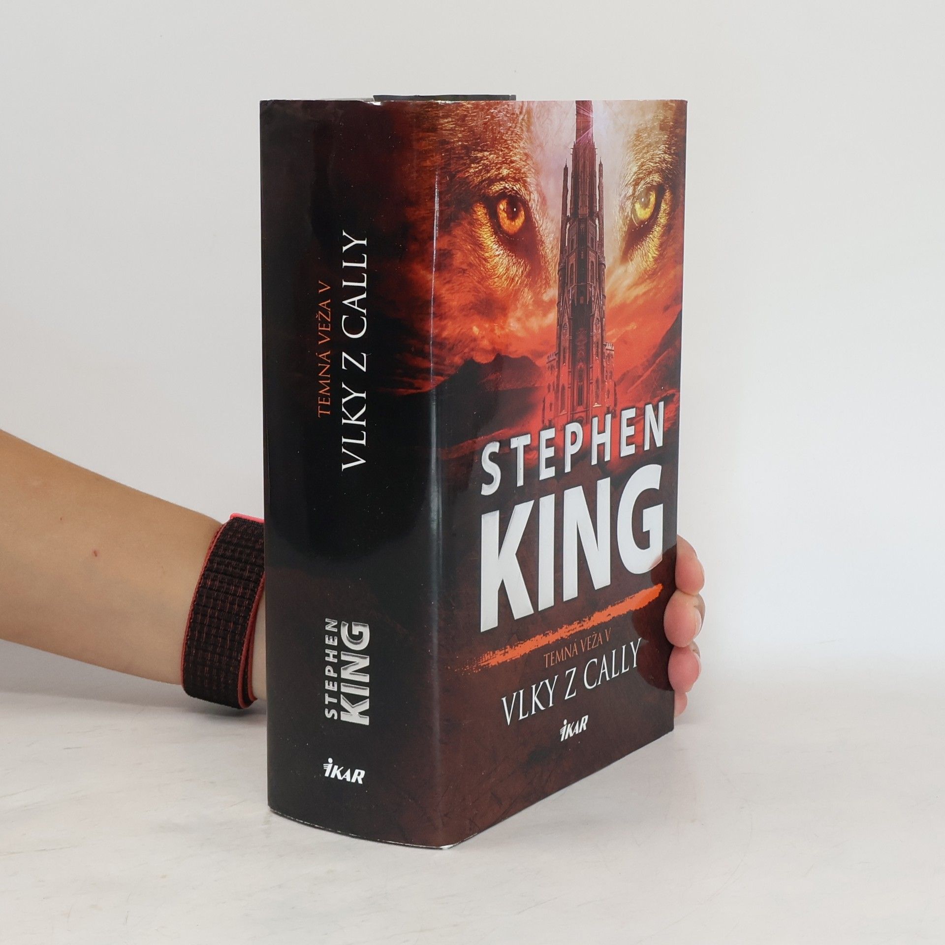 Stephen King Temná veža V.