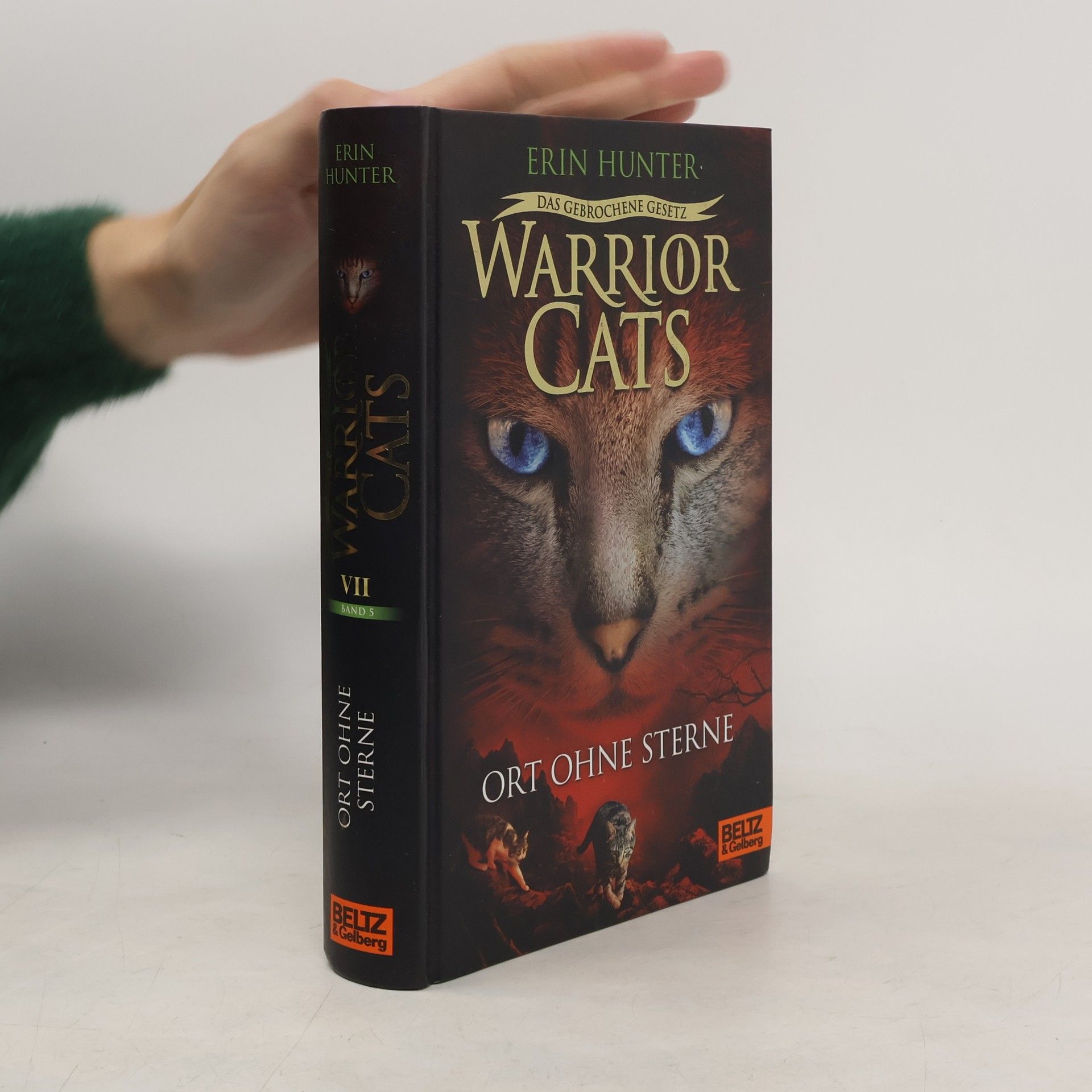 Erin Hunter Warrior Cats: Warrior Cats