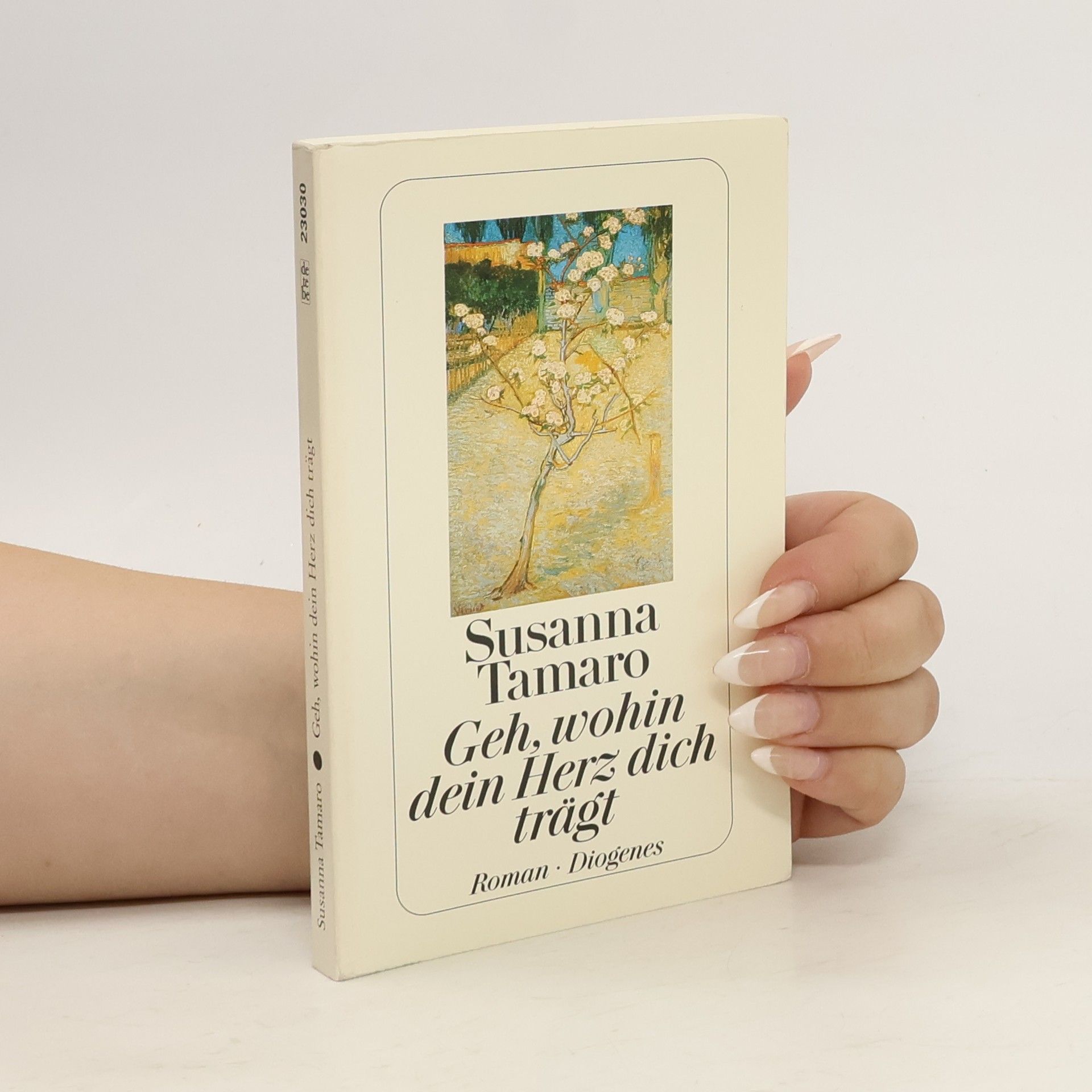 Susanna Tamaro Geh, wohin dein Herz dich trägt