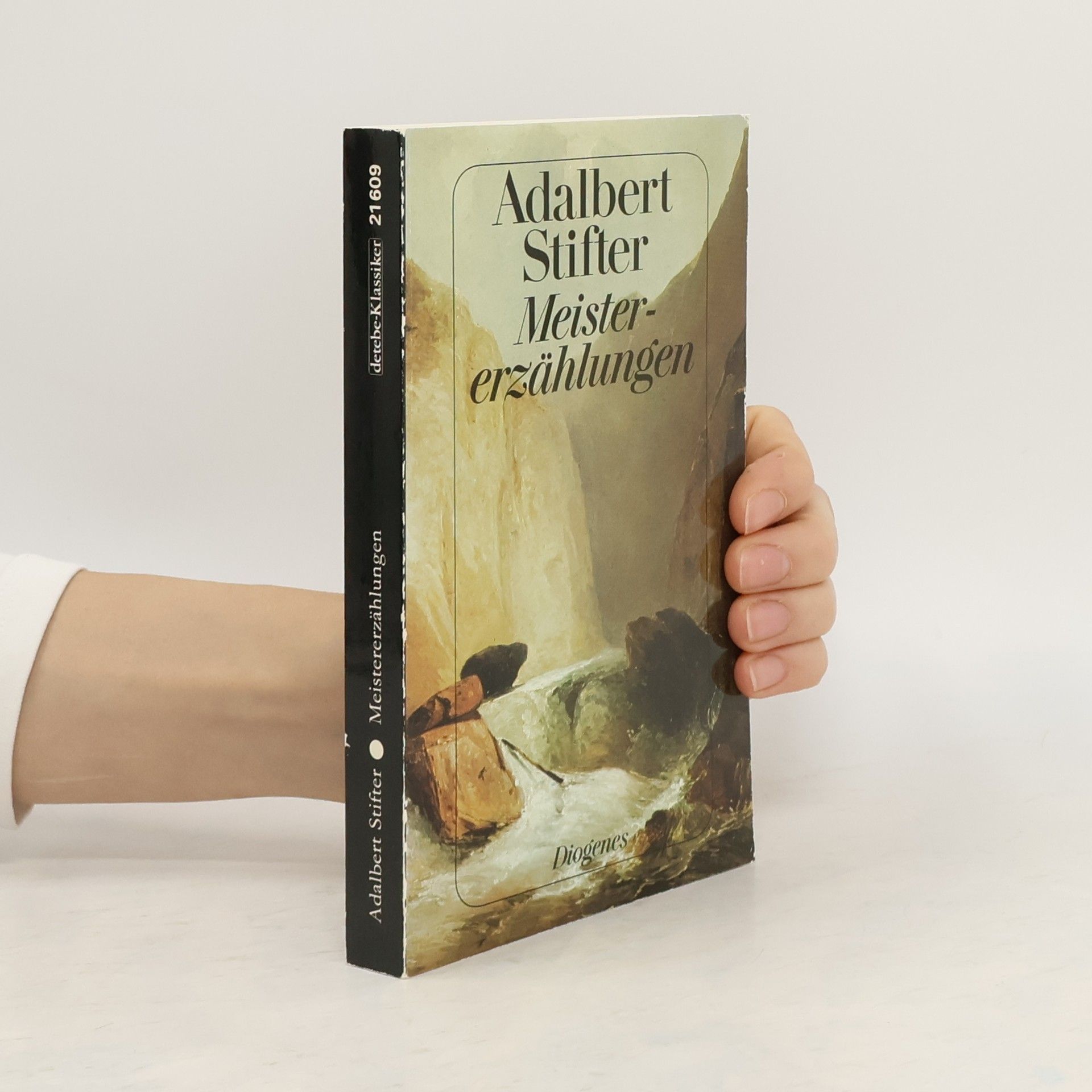 Adalbert Stifter Meistererzählungen