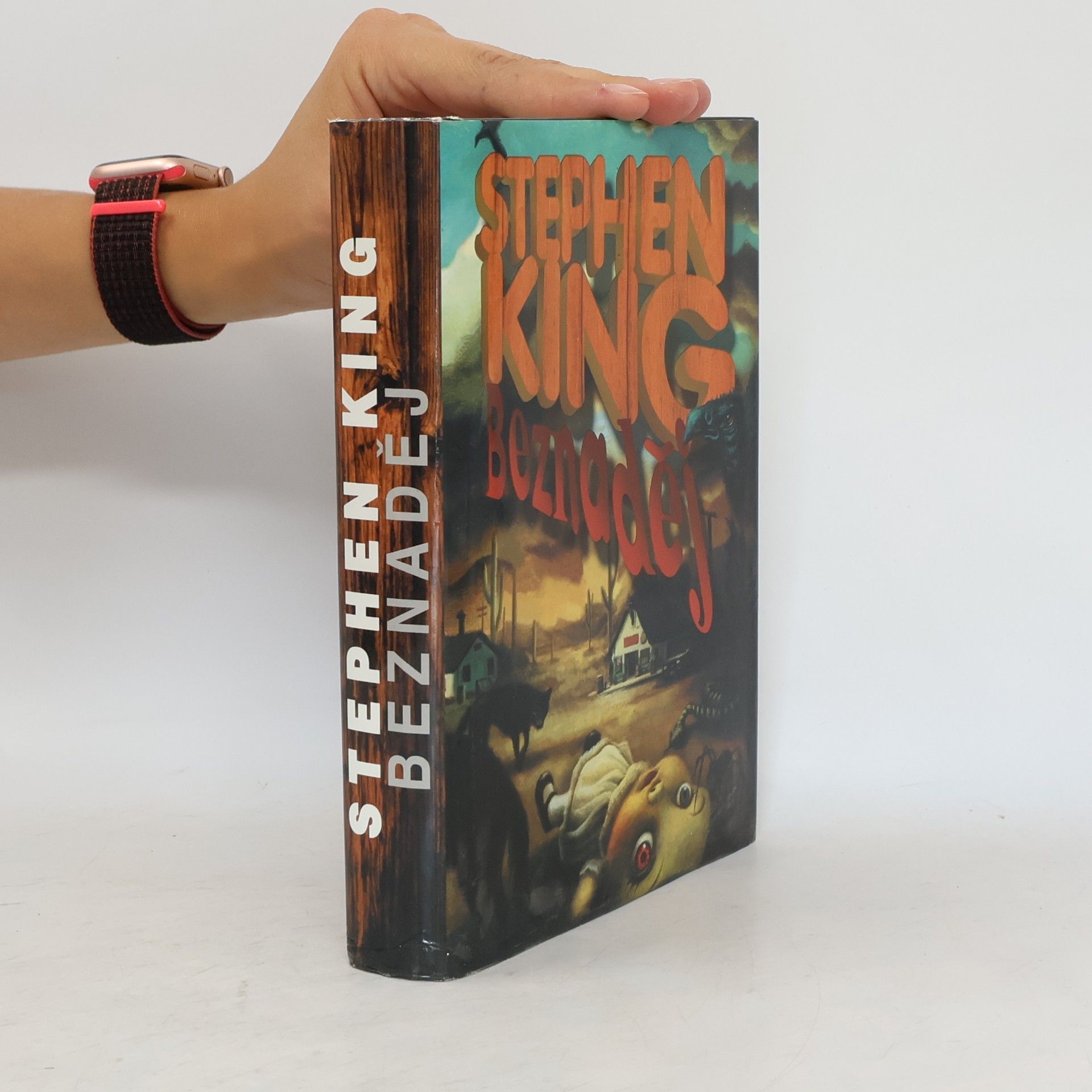 Stephen King Beznaděj