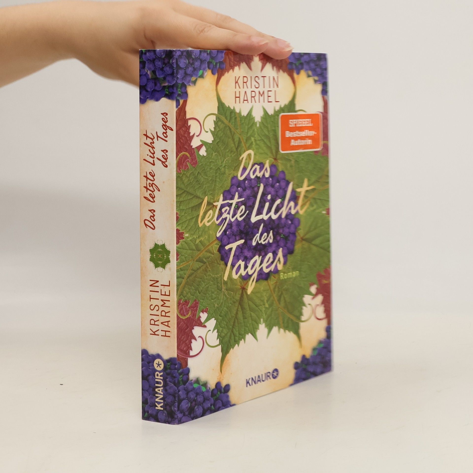 Kristin Harmel Das letzte Licht des Tages