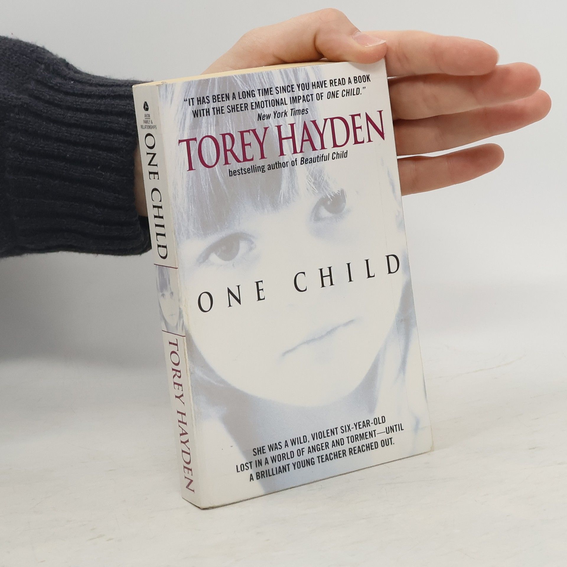 Torey L. Hayden One Child