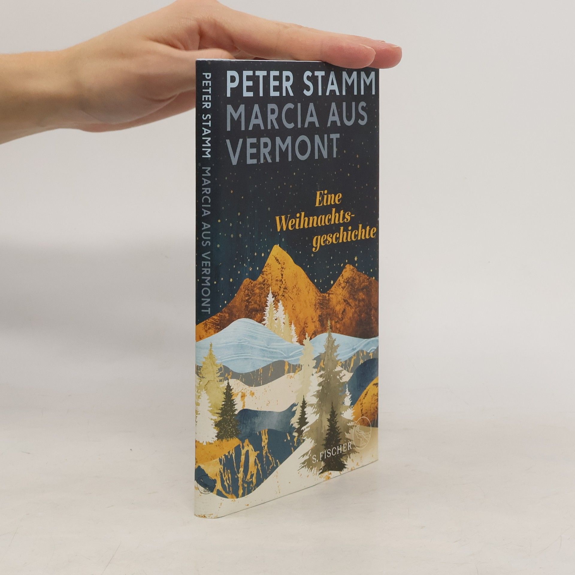 Peter Stamm Marcia aus Vermont