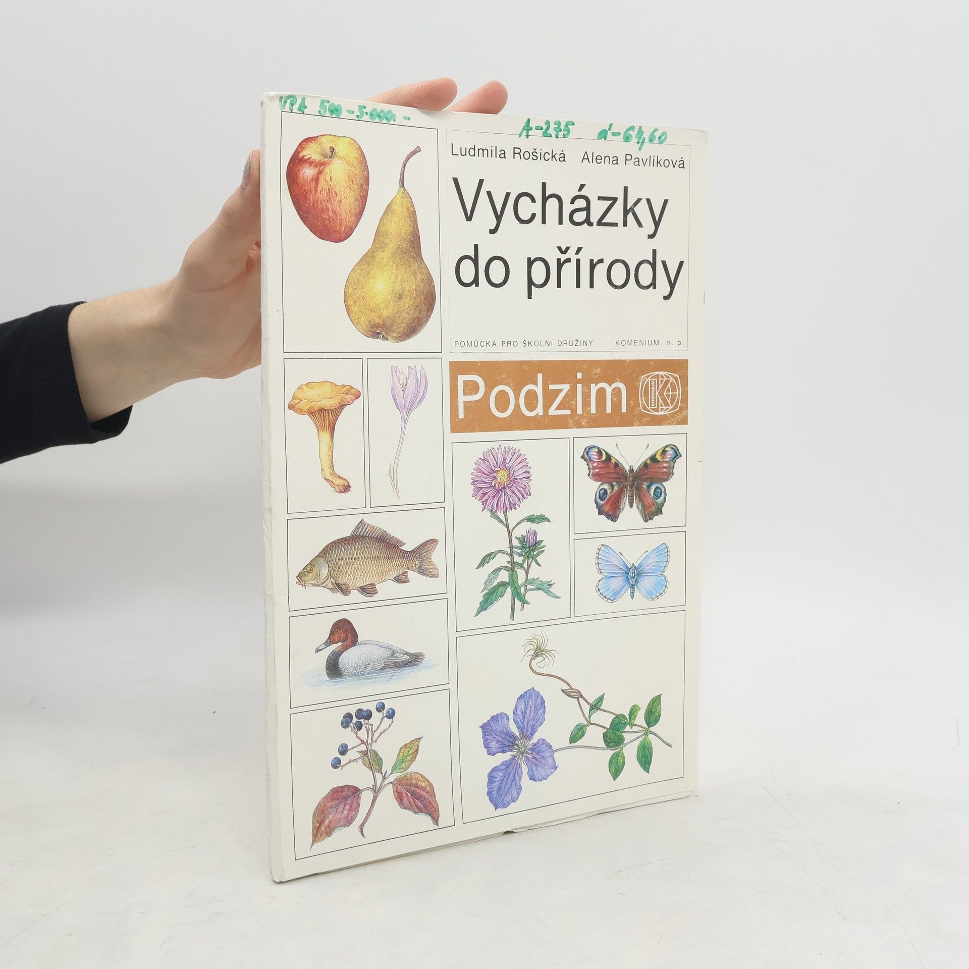 Alena Pavlíková Vycházky do přírody. Podzim