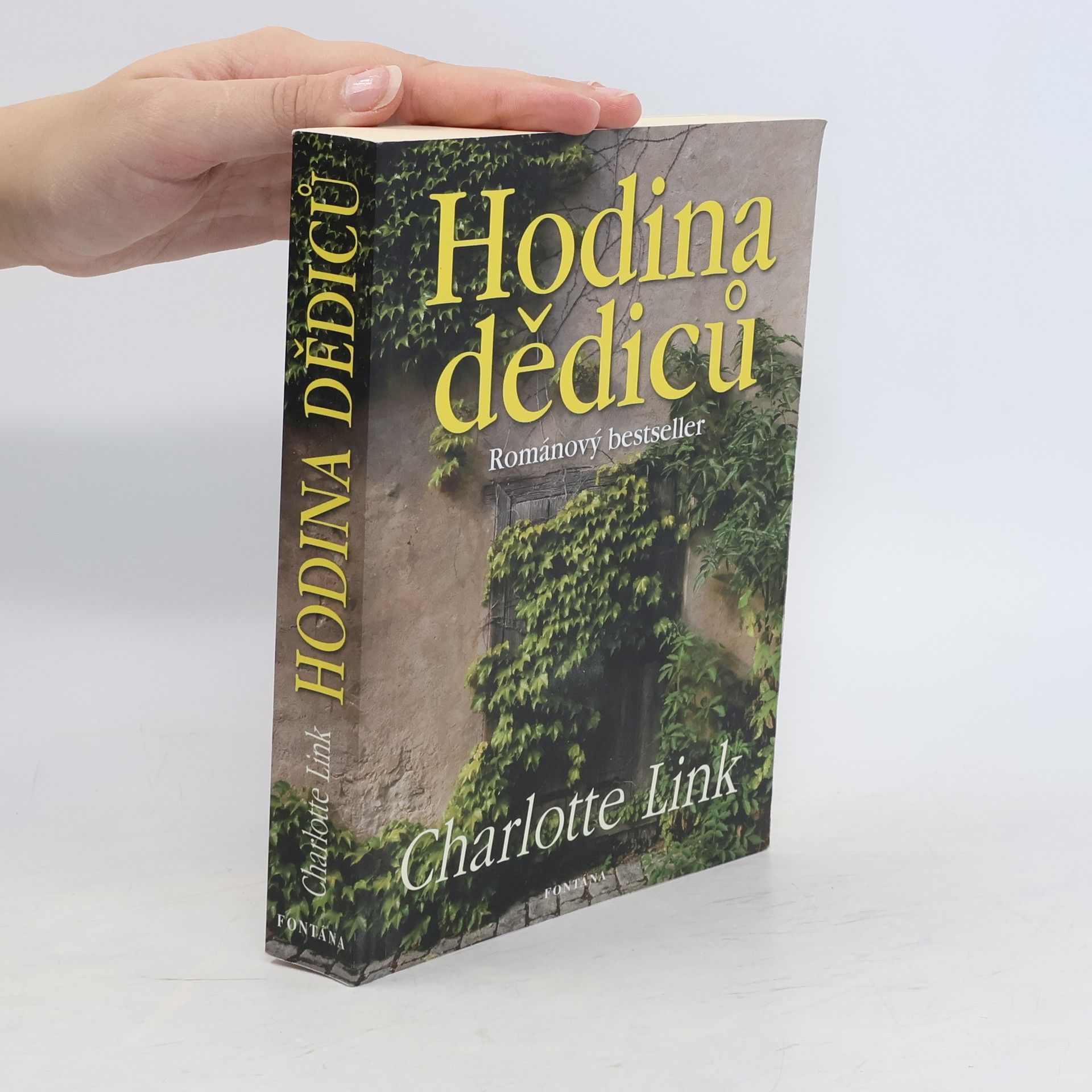 Charlotte Link Hodina dědiců