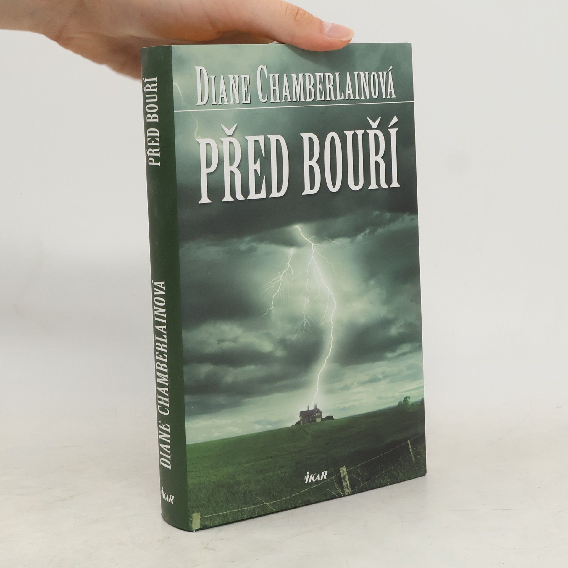 Diane Chamberlain Před bouří