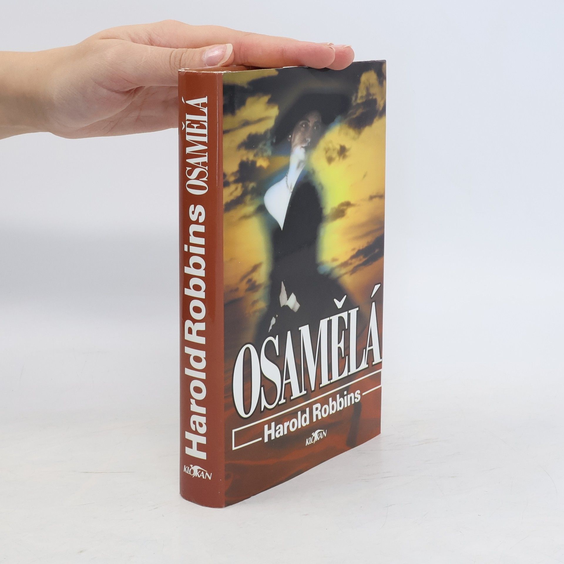 Harold Robbins Osamělá