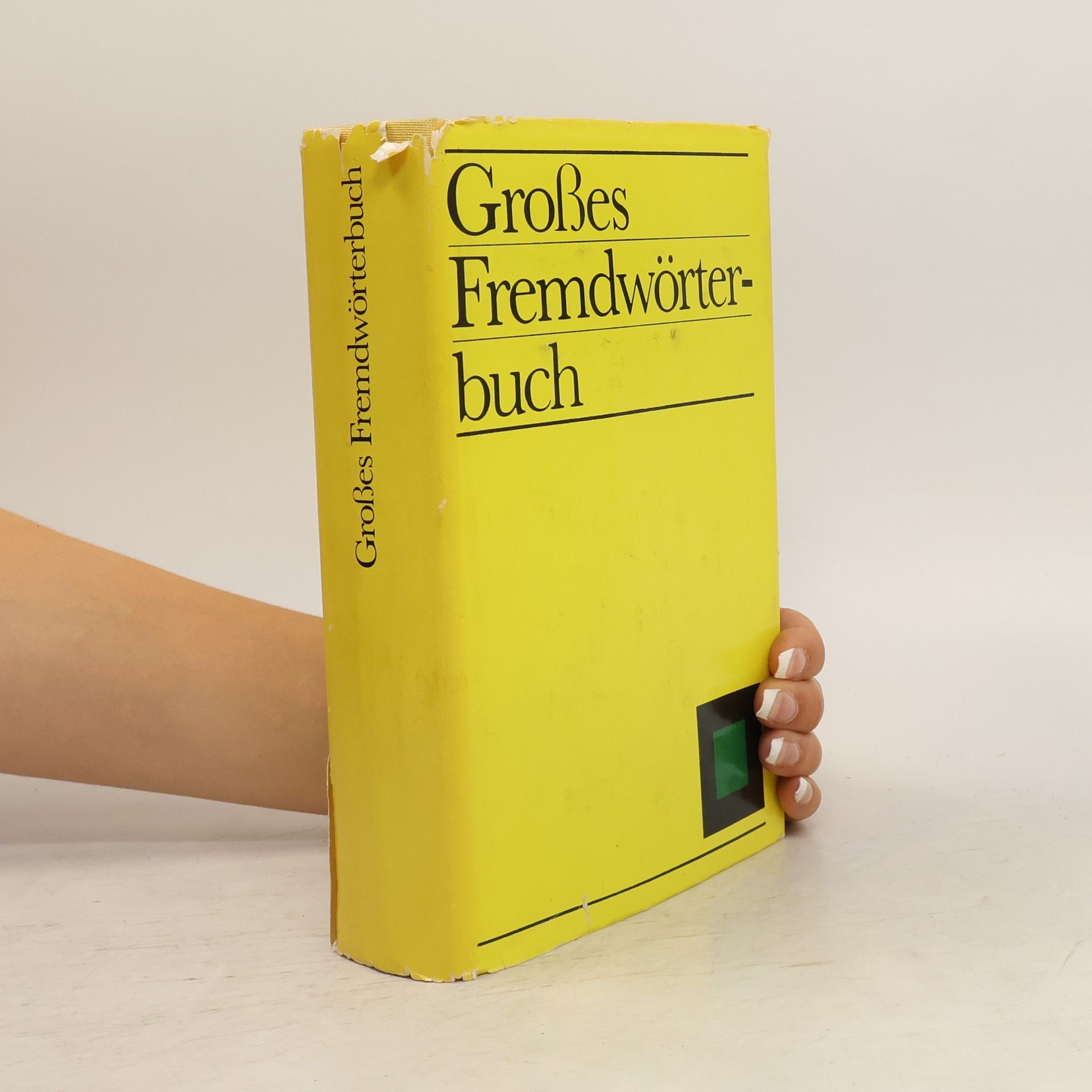 Autorenkollektiv Großes Fremdwörterbuch