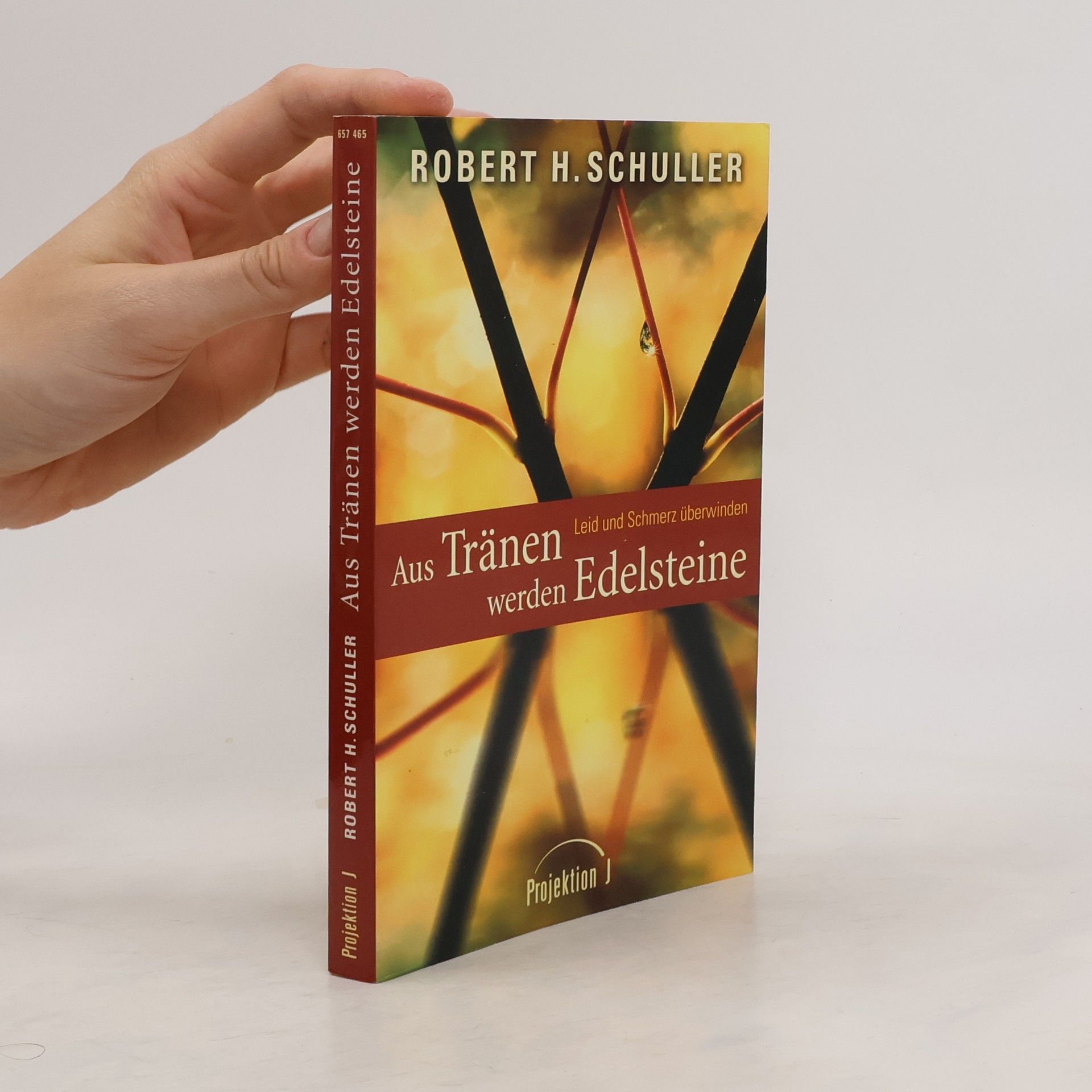 Robert Schuller Aus Tränen werden Edelsteine