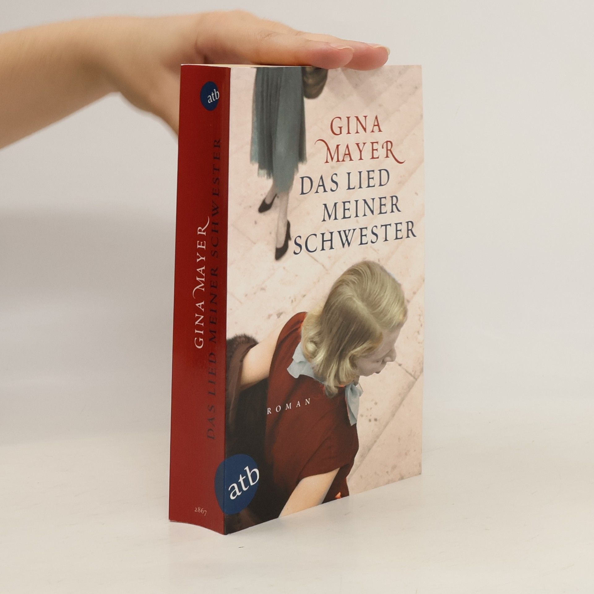 Gina Mayer Das Lied meiner Schwester