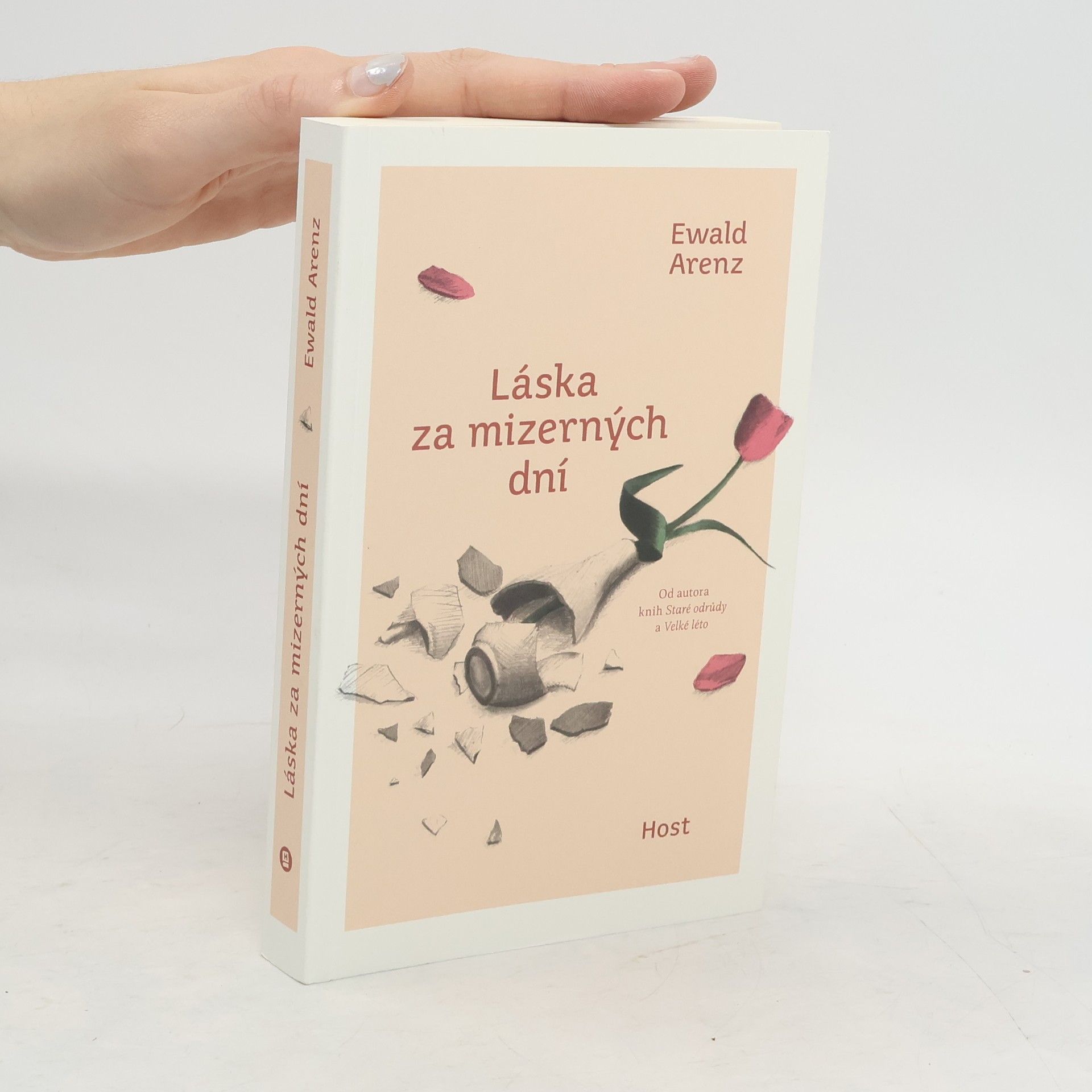 Ewald Arenz Láska za mizerných dní