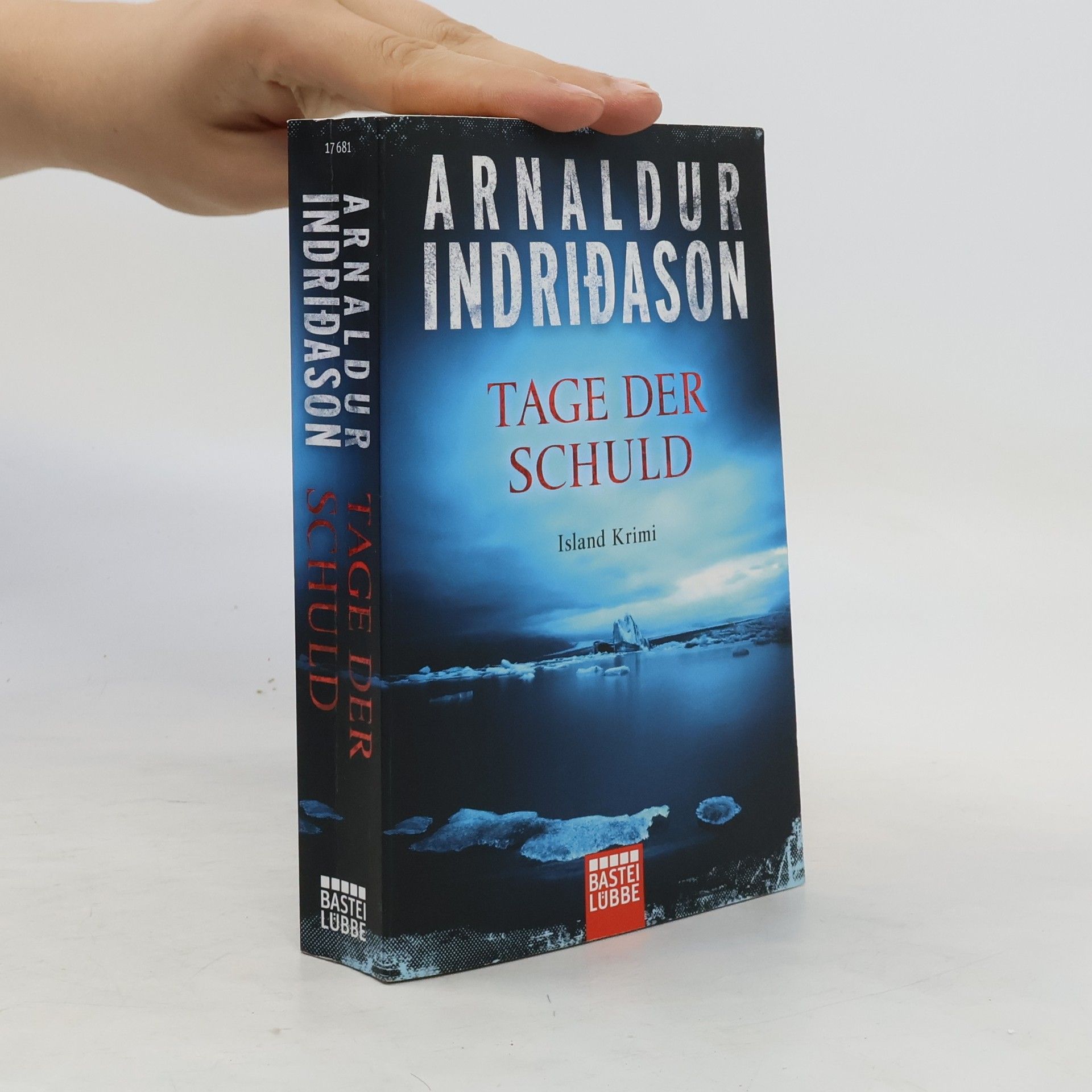Arnaldur Indriðason Tage der Schuld