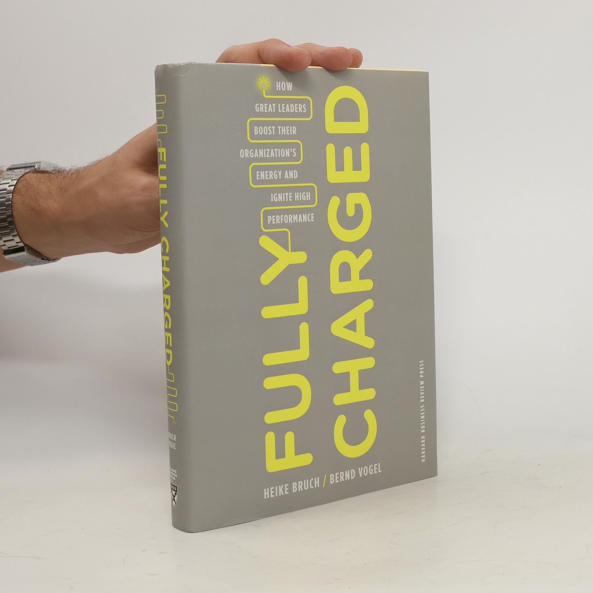 Bernd Vogel Fully Charged