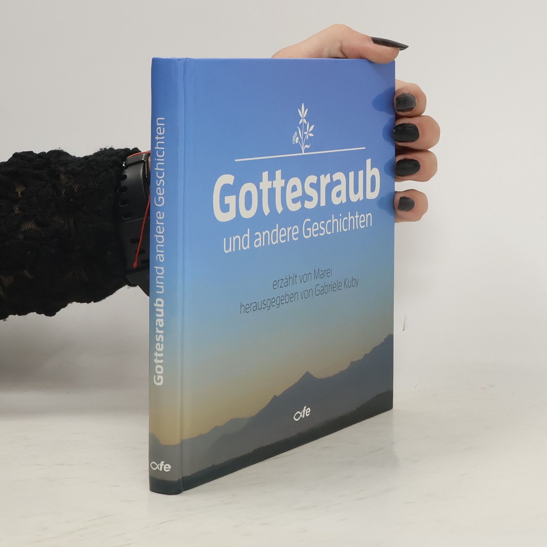 Marei Gottesraub und andere Geschichten