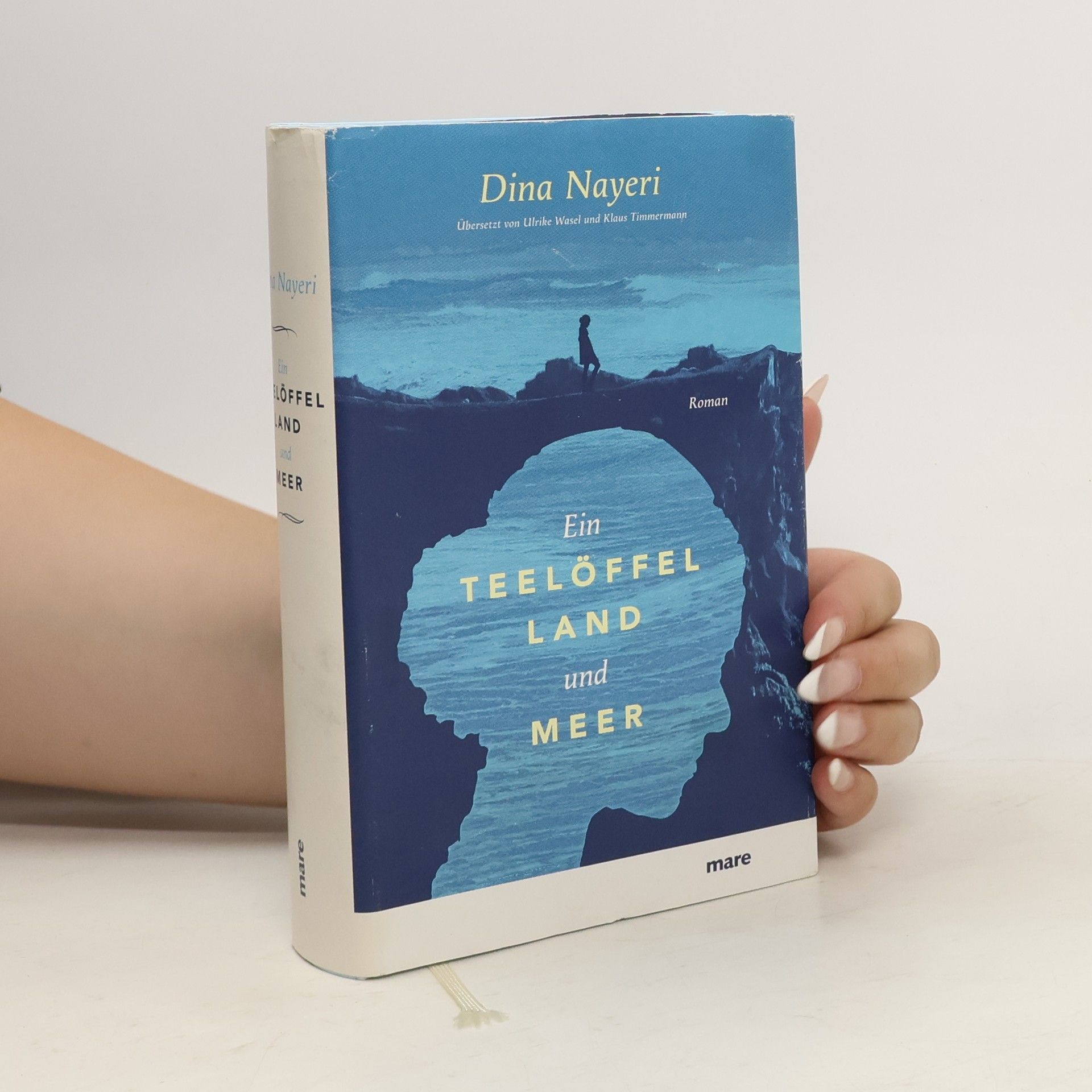Dina Nayeri Ein Teelöffel Land und Meer