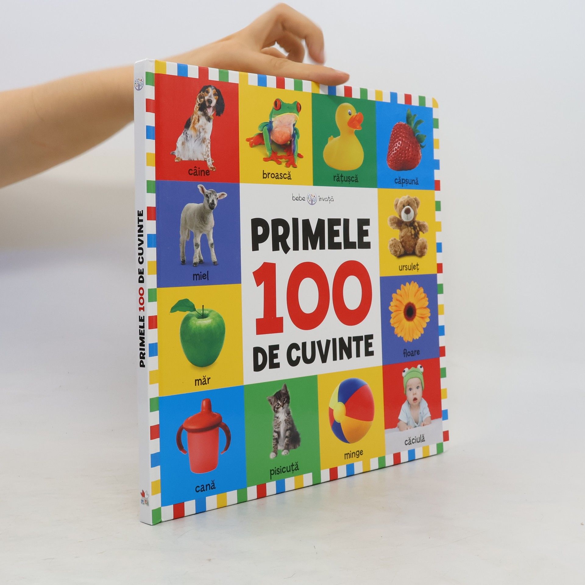 Autorenkollektiv Primele 100 de Cuvinte