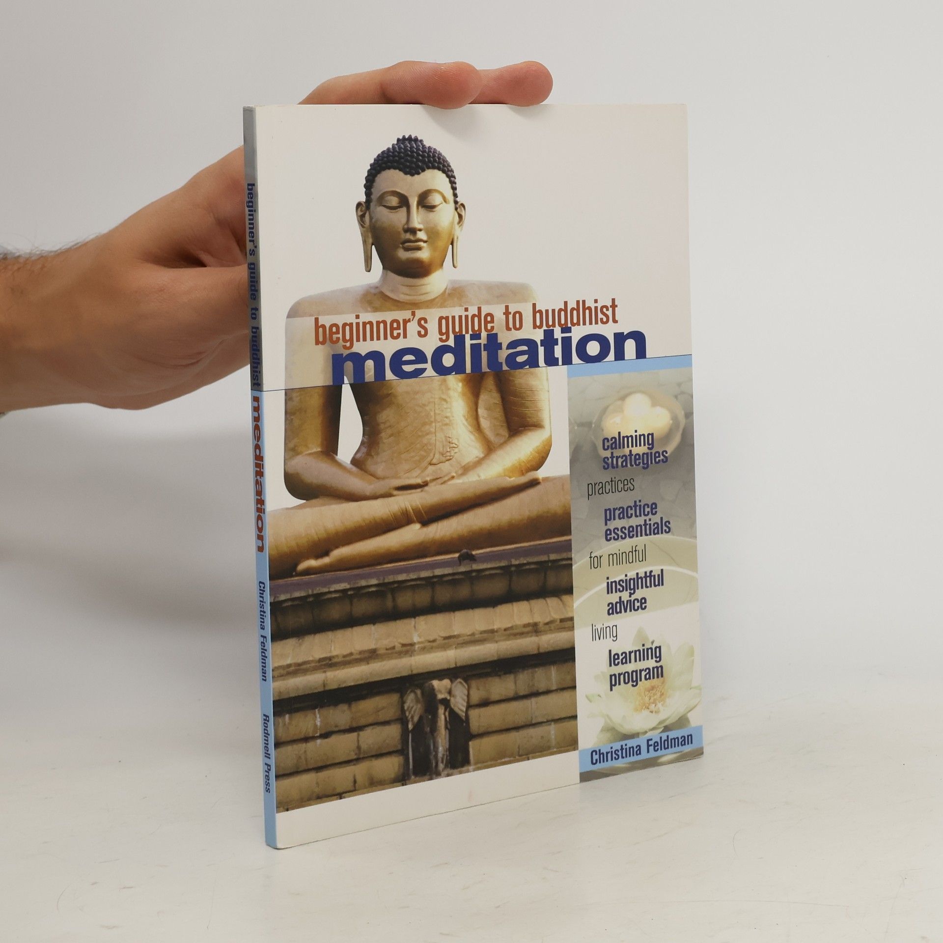 Christina Feldman Beginner's Guide to Buddhist Meditation