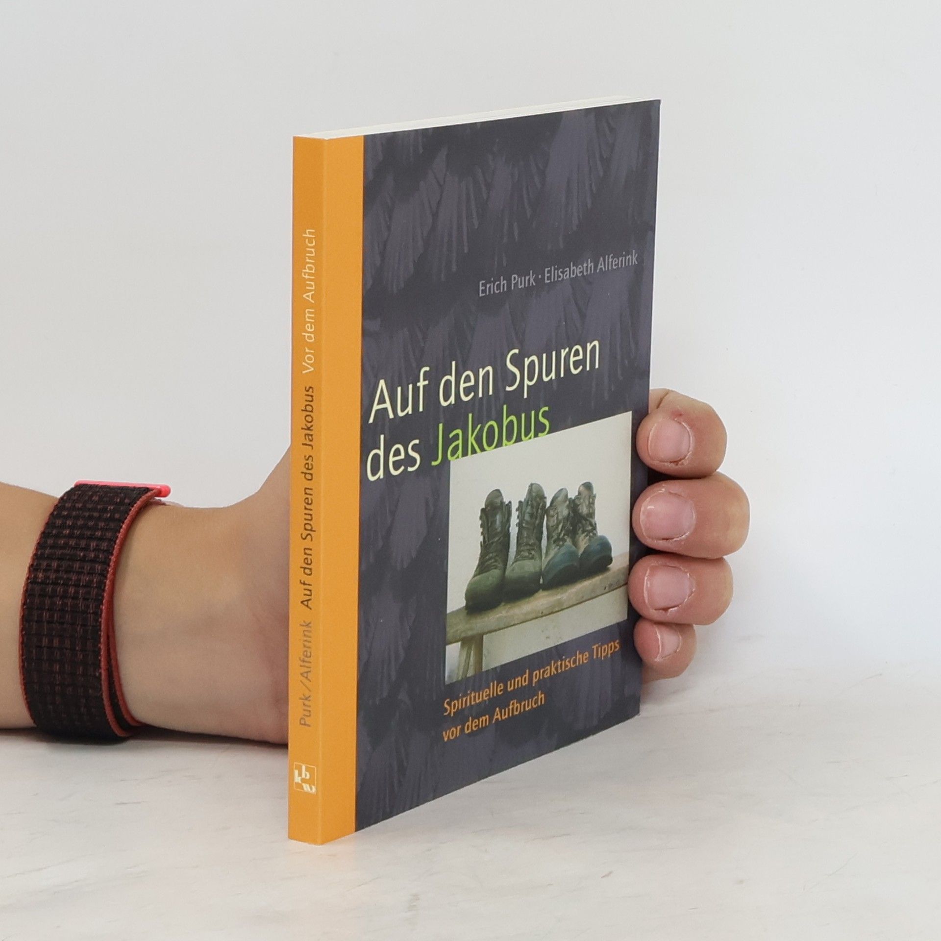 Elisabeth Alferink Auf den Spuren des Jakobus