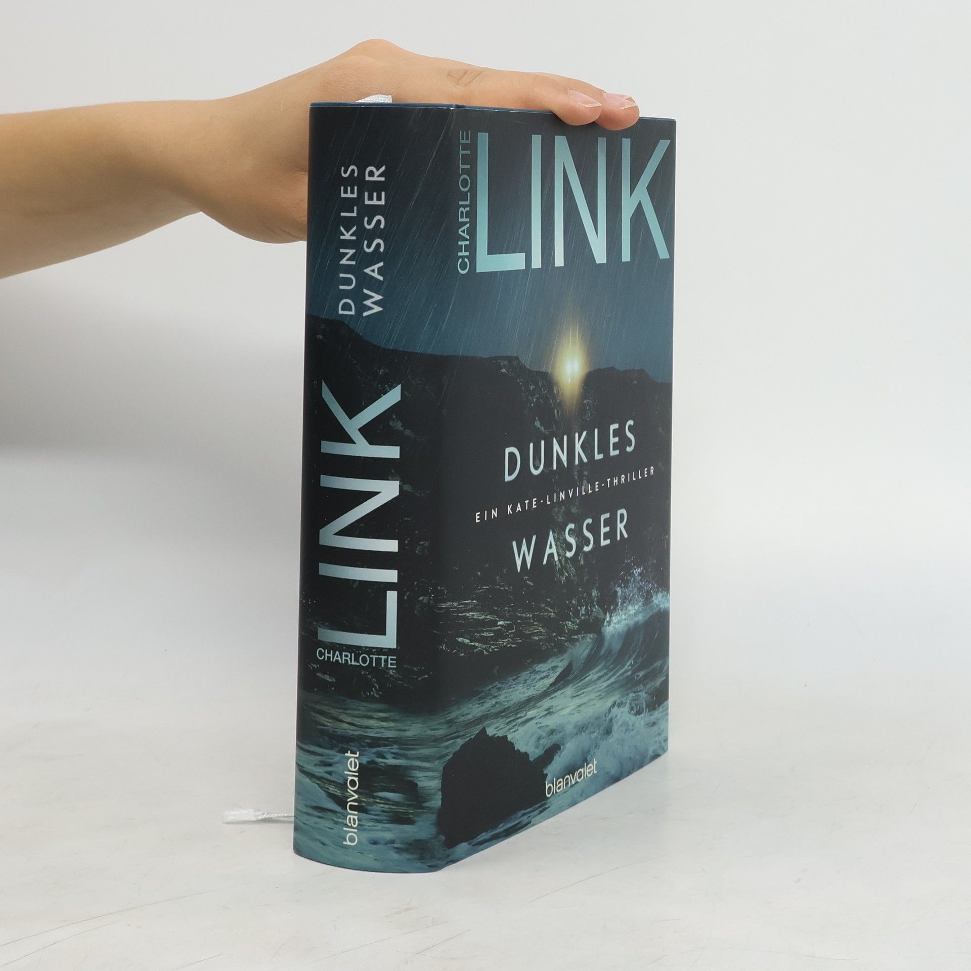Charlotte Link Dunkles Wasser