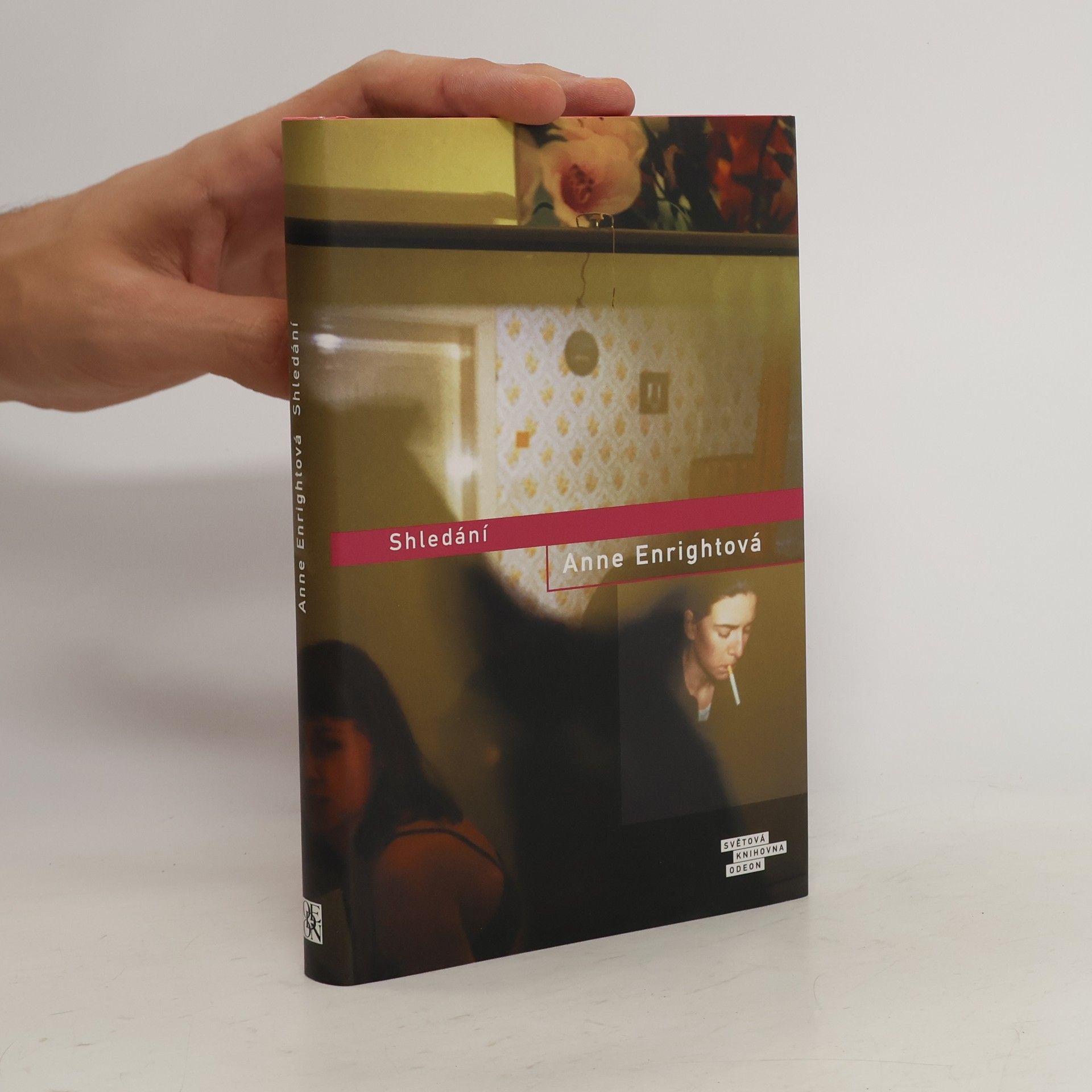 Anne Enright Shledání