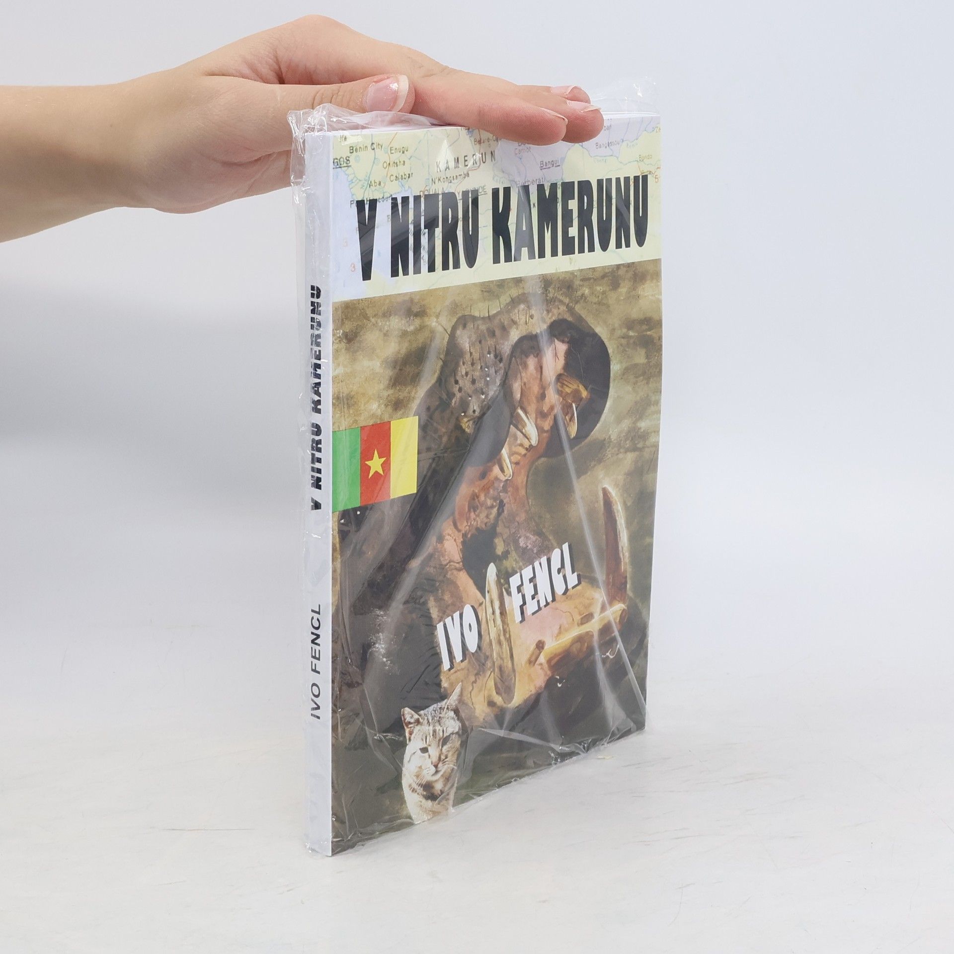 Jan Odnykud V nitru Kamerunu