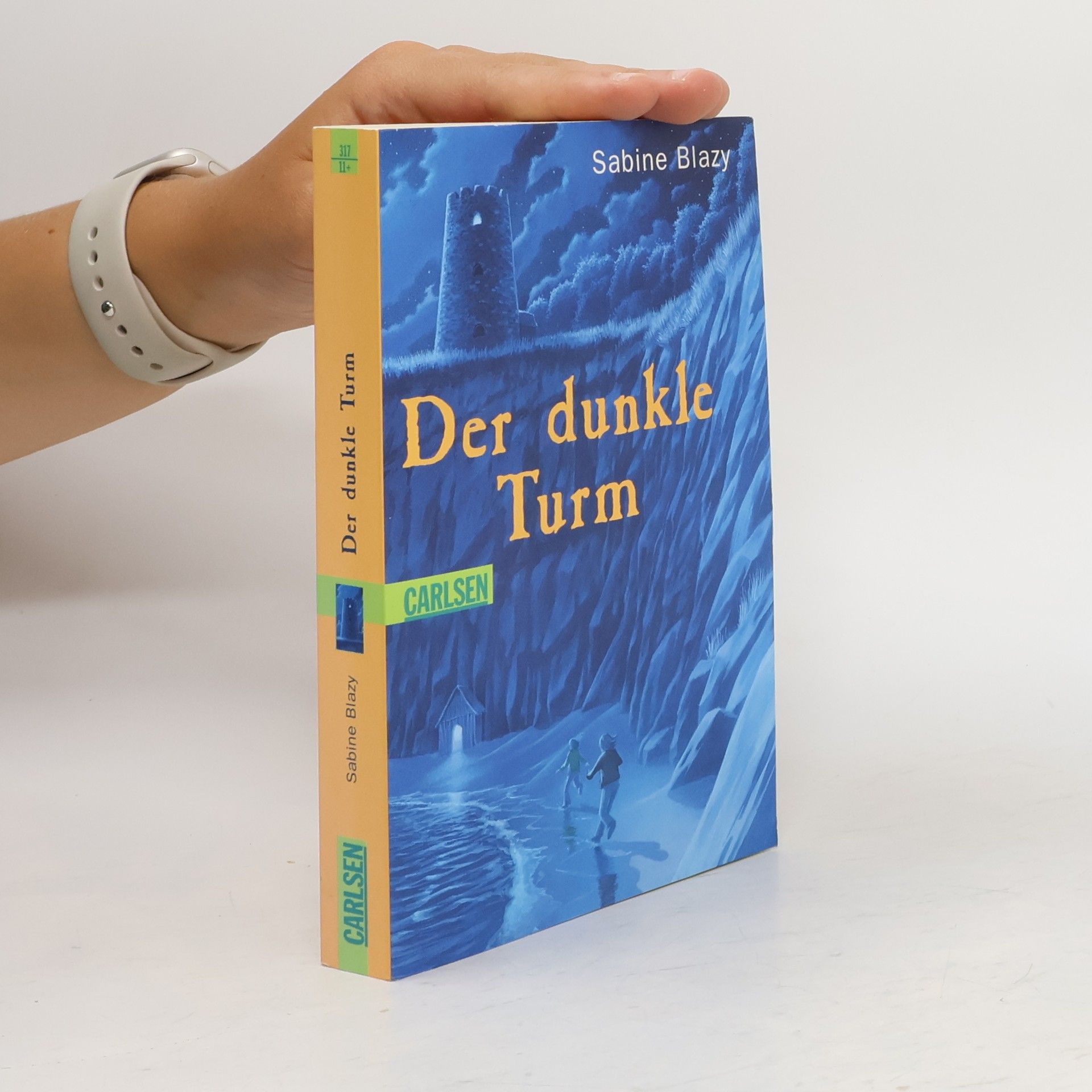 Sabine Blazy Der dunkle Turm