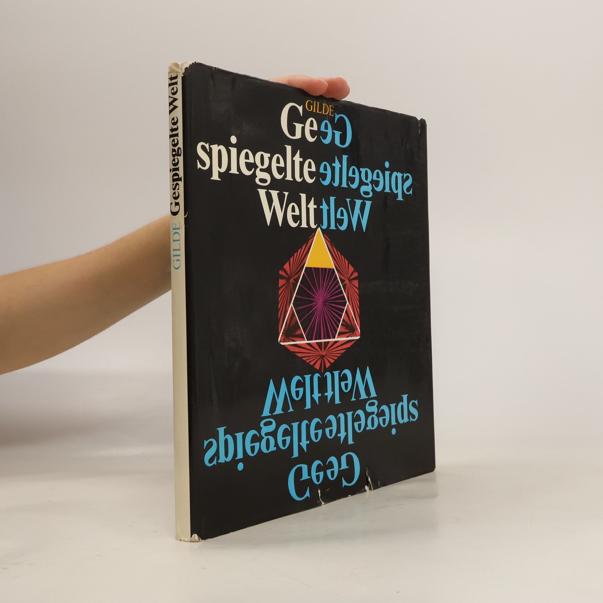 AA.VV. Gilde. Gespiegelte Welt