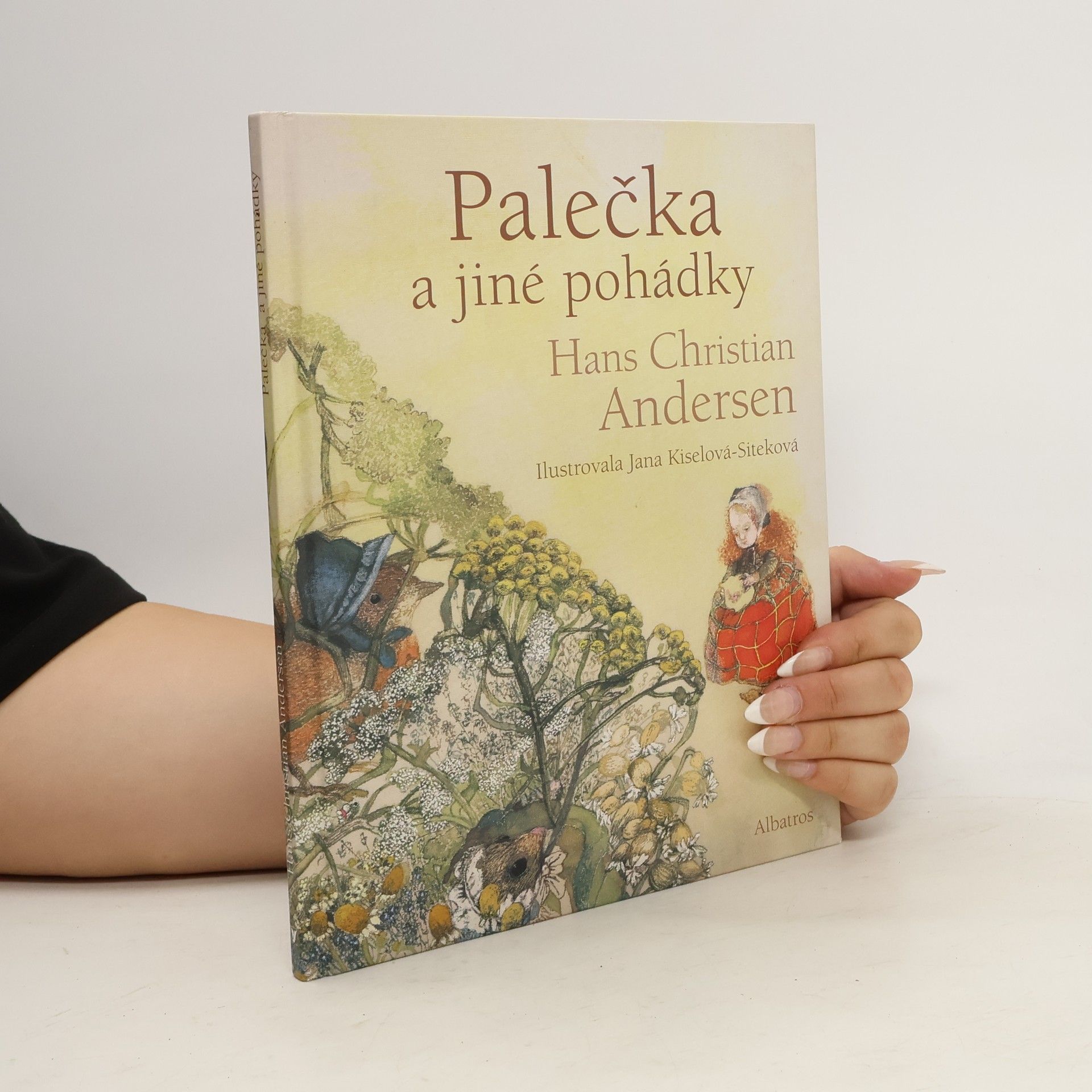 Hans Christian Andersen Palečka a jiné pohádky
