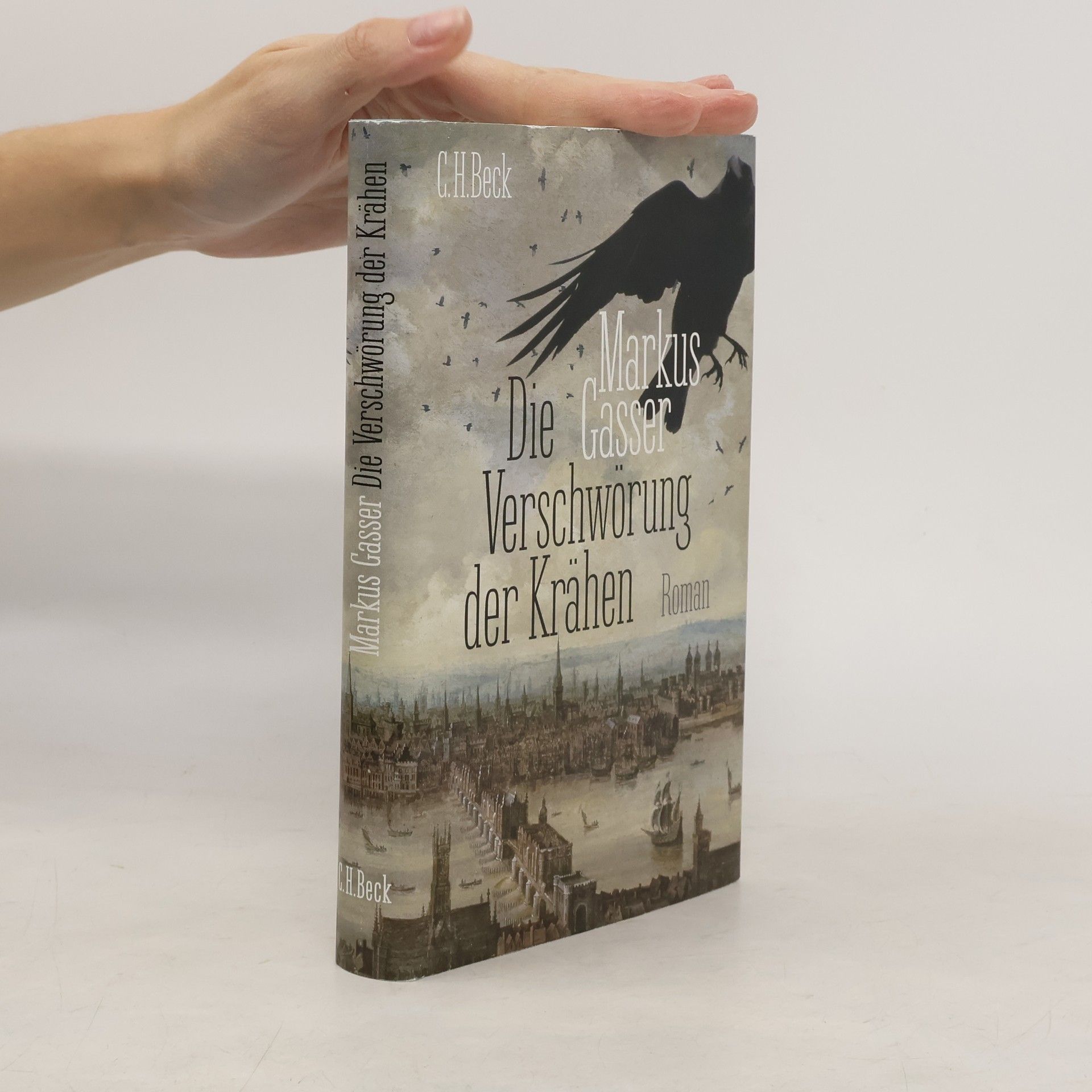 Markus Gasser Die Verschwörung der Krähen