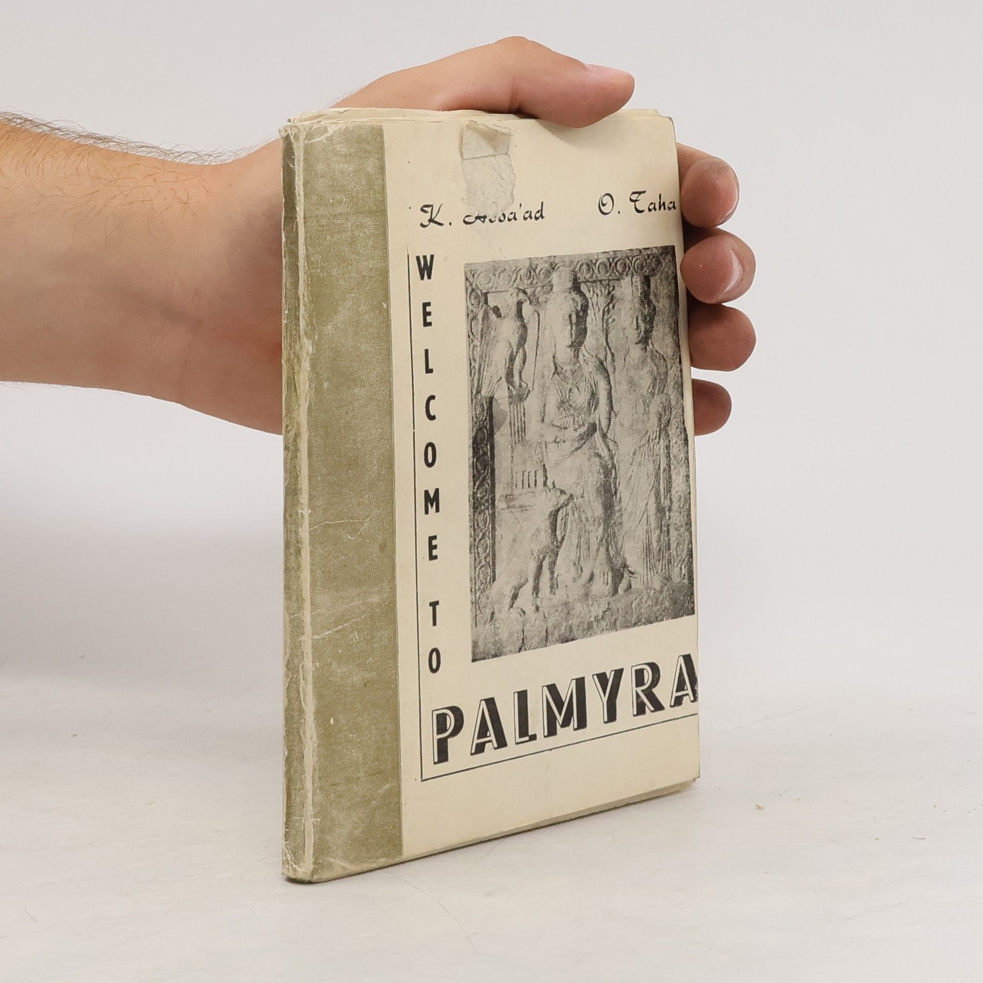 K. Assa'ad Welcome to Palmyra