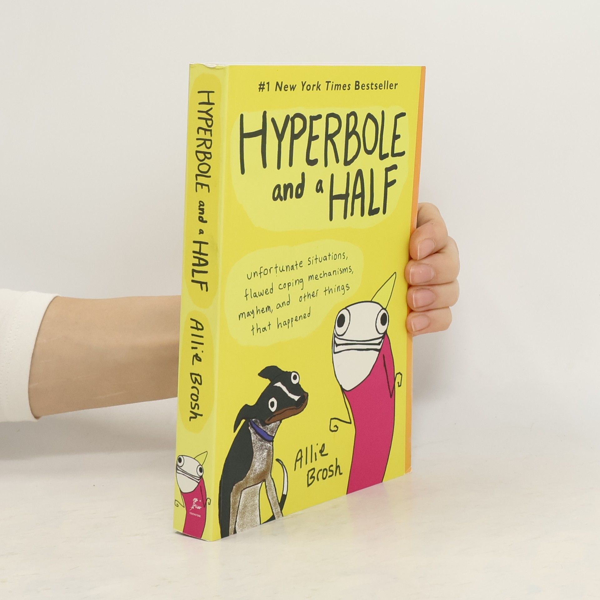 Allie Brosh Hyperbole and a Half