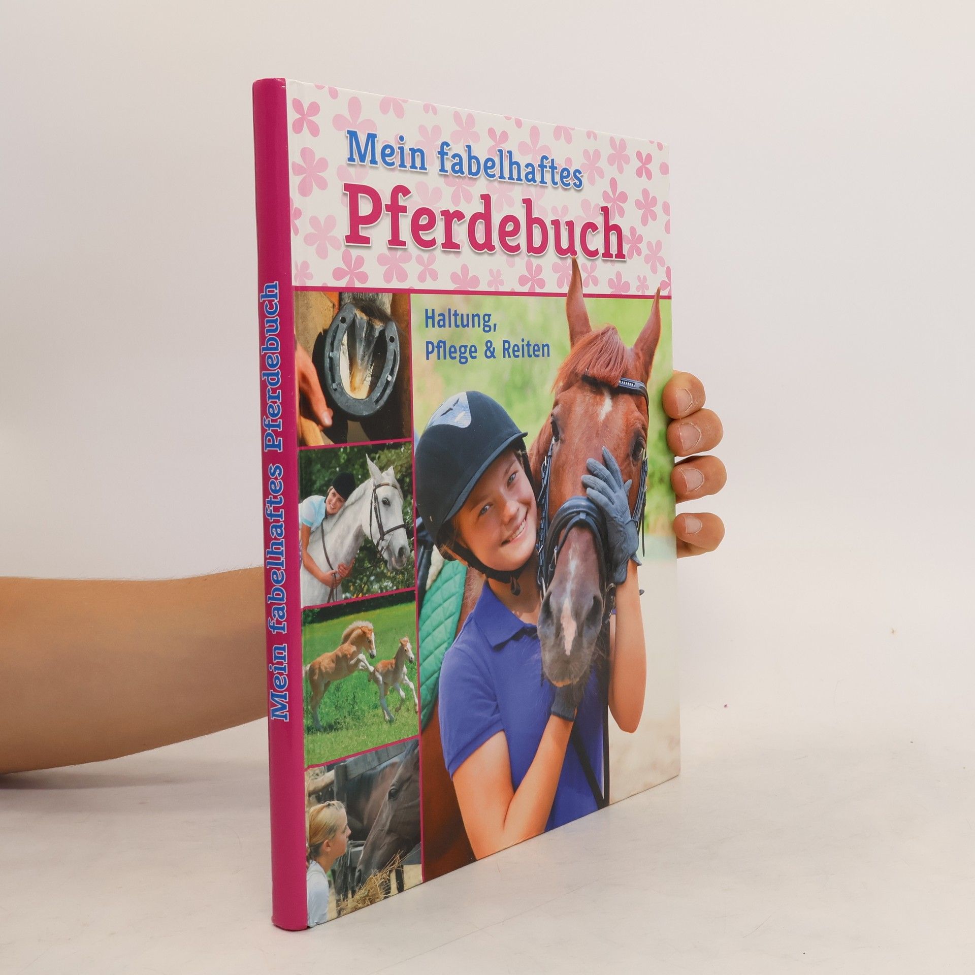 kolektiv Mein fabelhaftes Pferdebuch