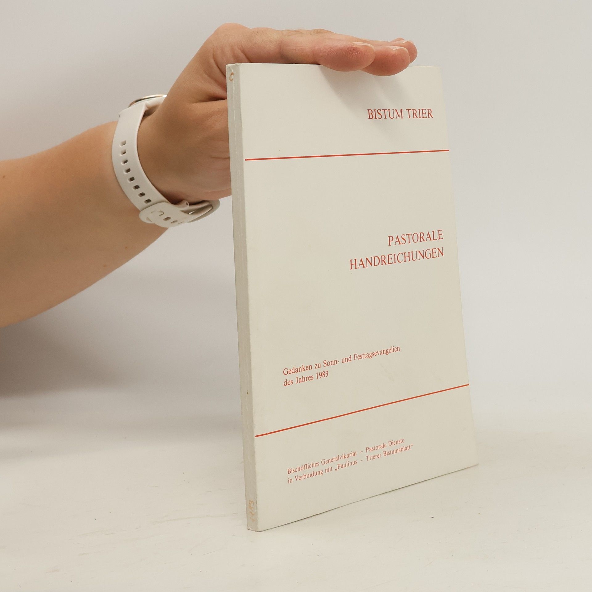 Collectif d'auteurs Bistum Trier. Pastorale Handreichungen