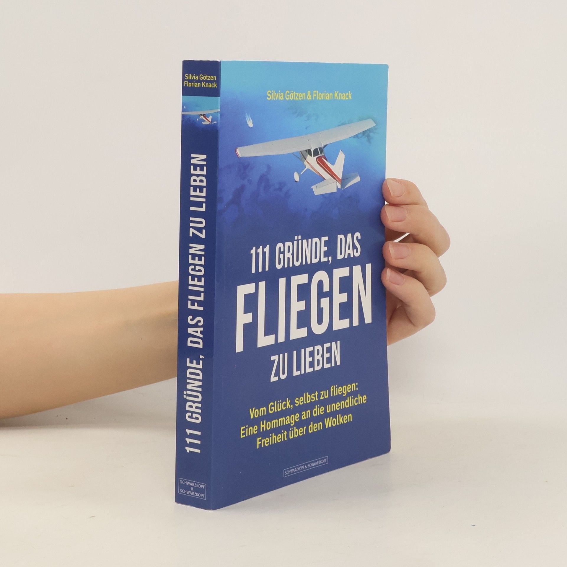 Silvia Götzen 111 Gründe, das Fliegen zu lieben