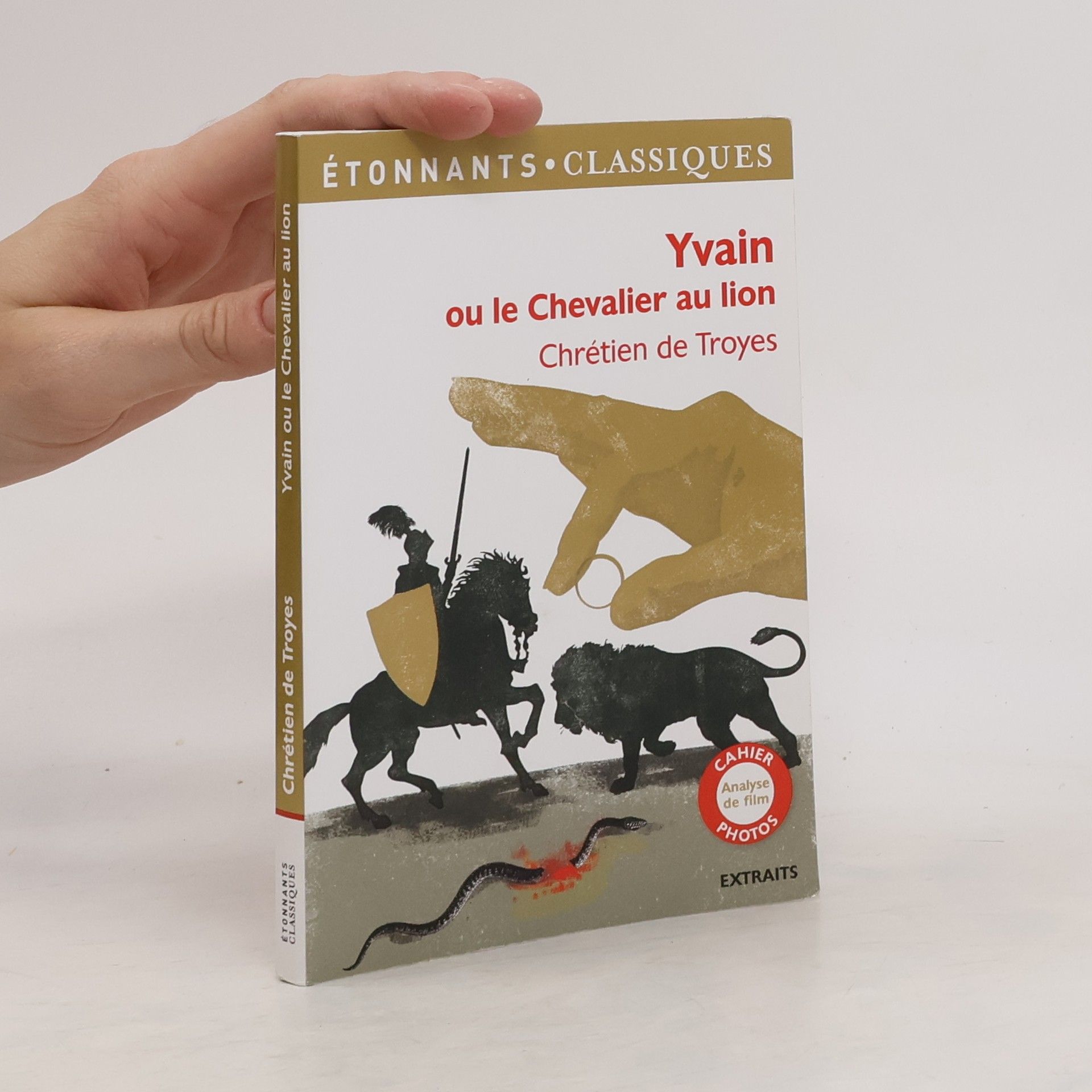 Chrétien De Troyes Étonnants Classiques: Yvain ou le Chevalier au lion (French Edition)