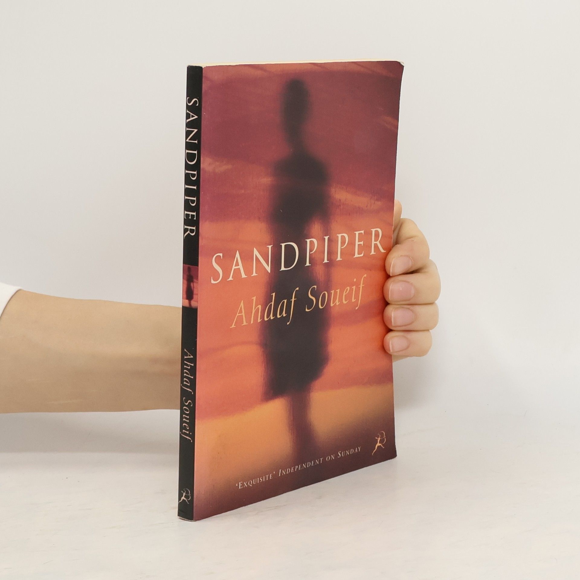 Ahdaf Soueif Sandpiper