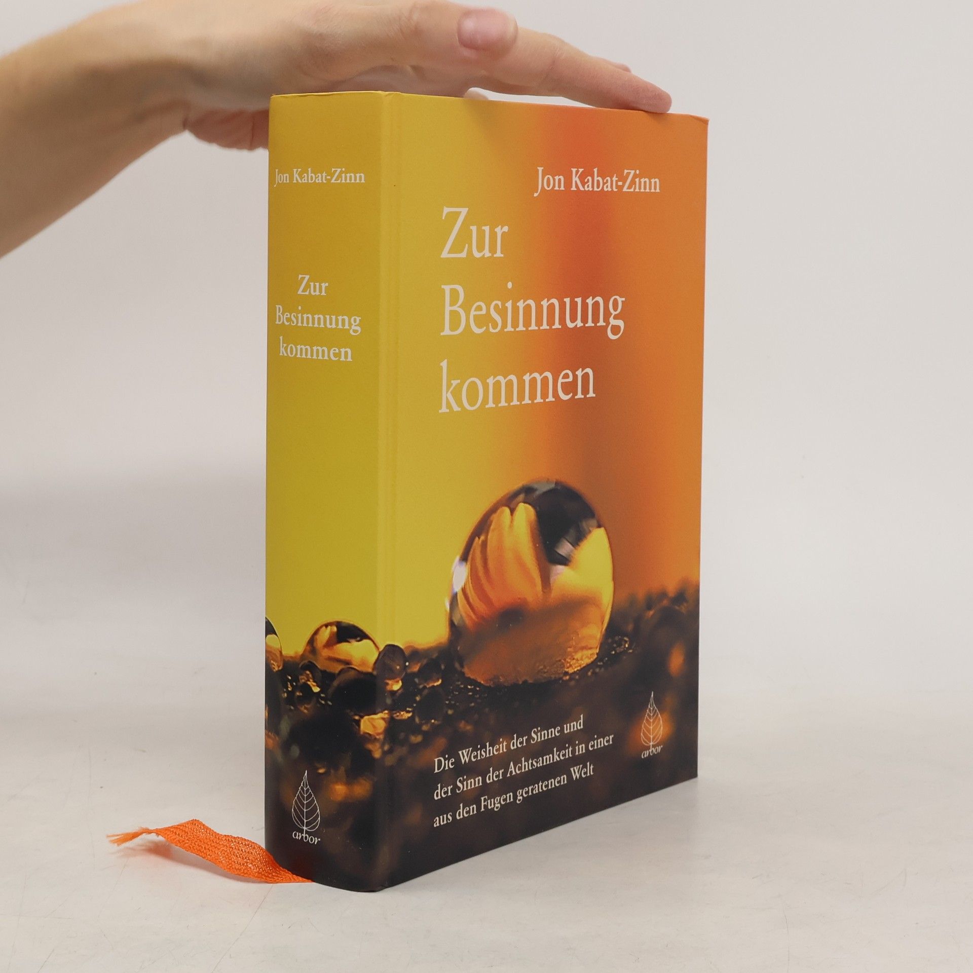 Jon Kabat-Zinn Zur Besinnung kommen