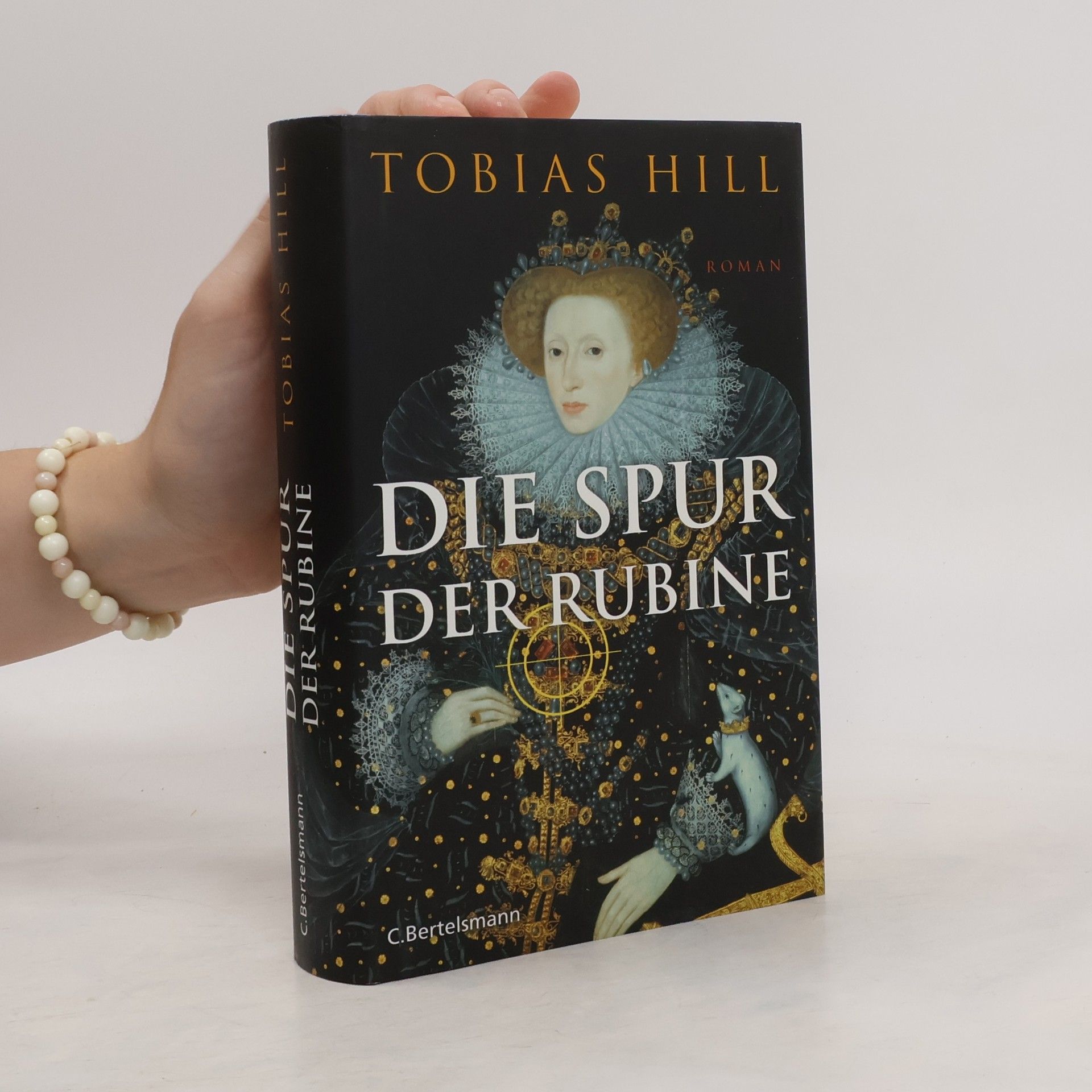 Tobias Hill Die Spur der Rubine