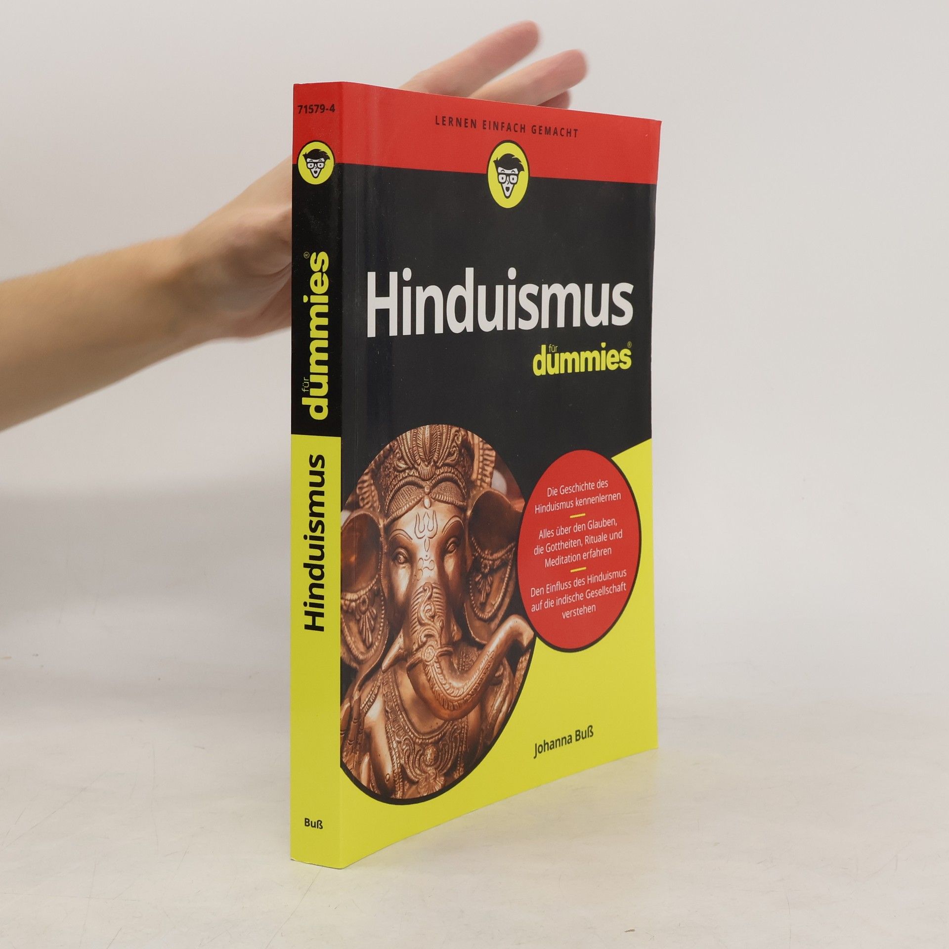 Johanna Buß Hinduismus für Dummies